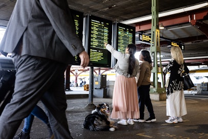 Resenärer kollar avgångstavlan. Foto: Apelöga/Öresundståg