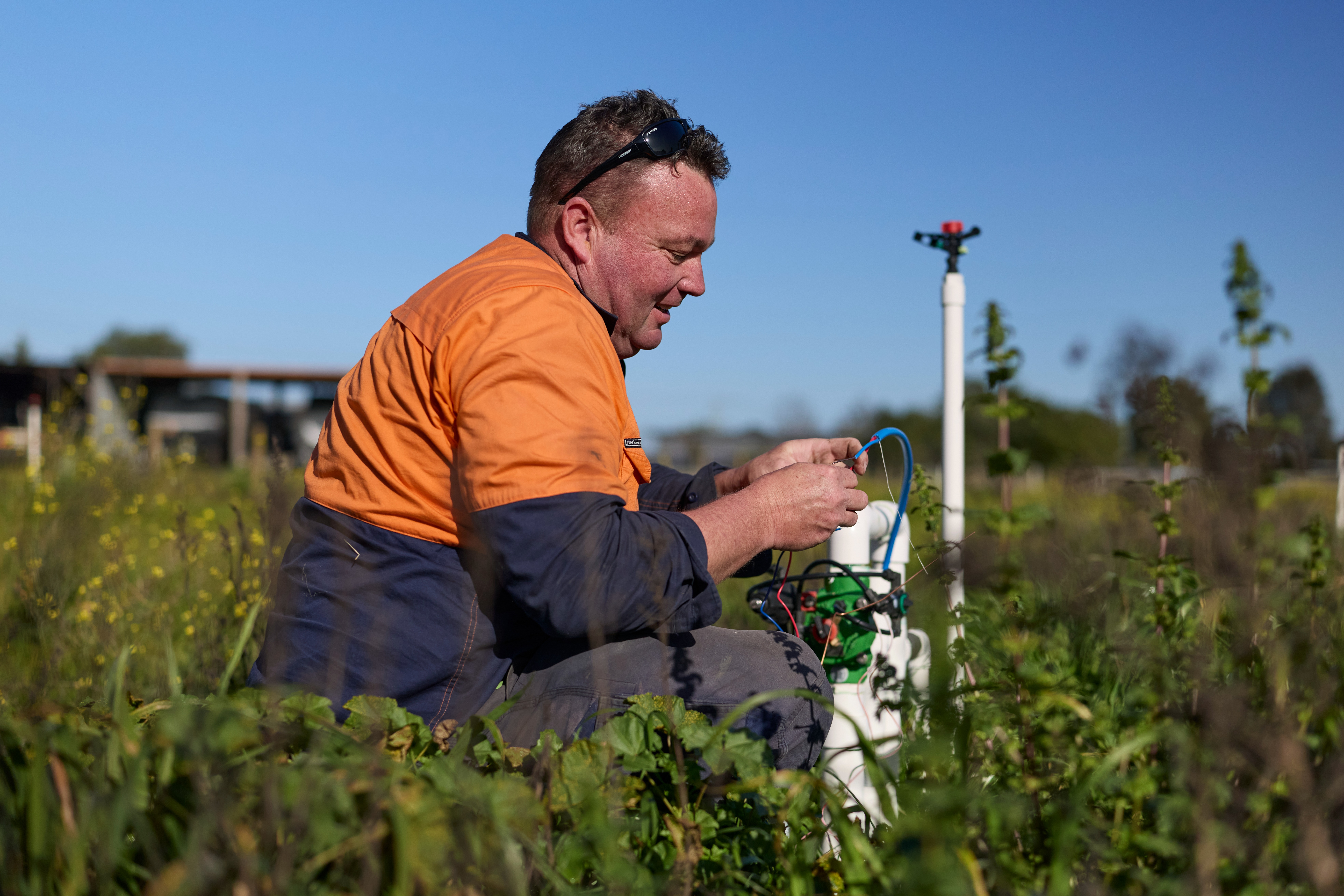 A man works on a sprinkler system surrounded by plants.