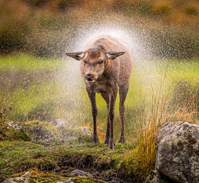 It can be wet in Scotland