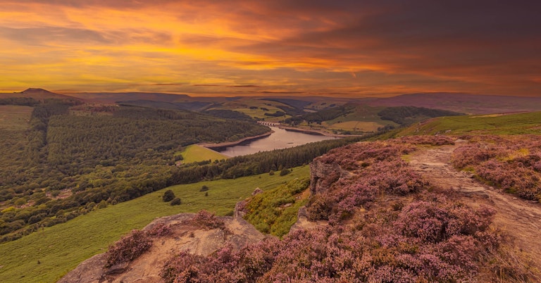 Bamford Edge Heather Sunset