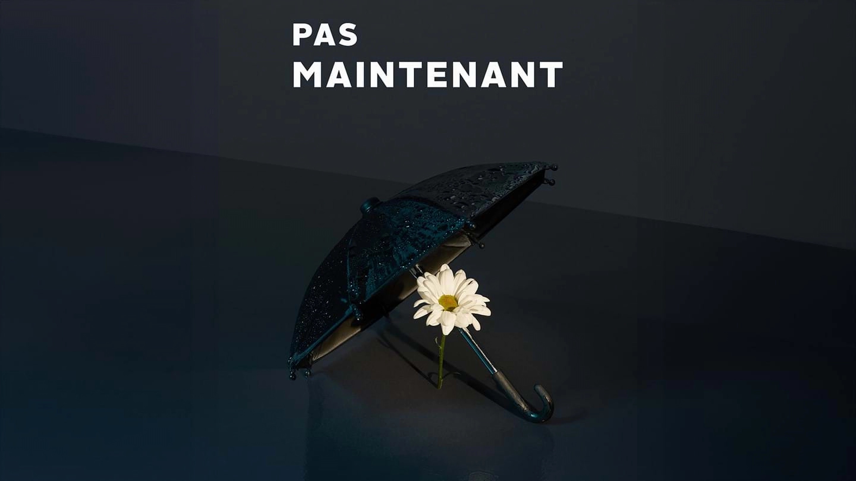 Pas maintenant - Théâtre Bistouri