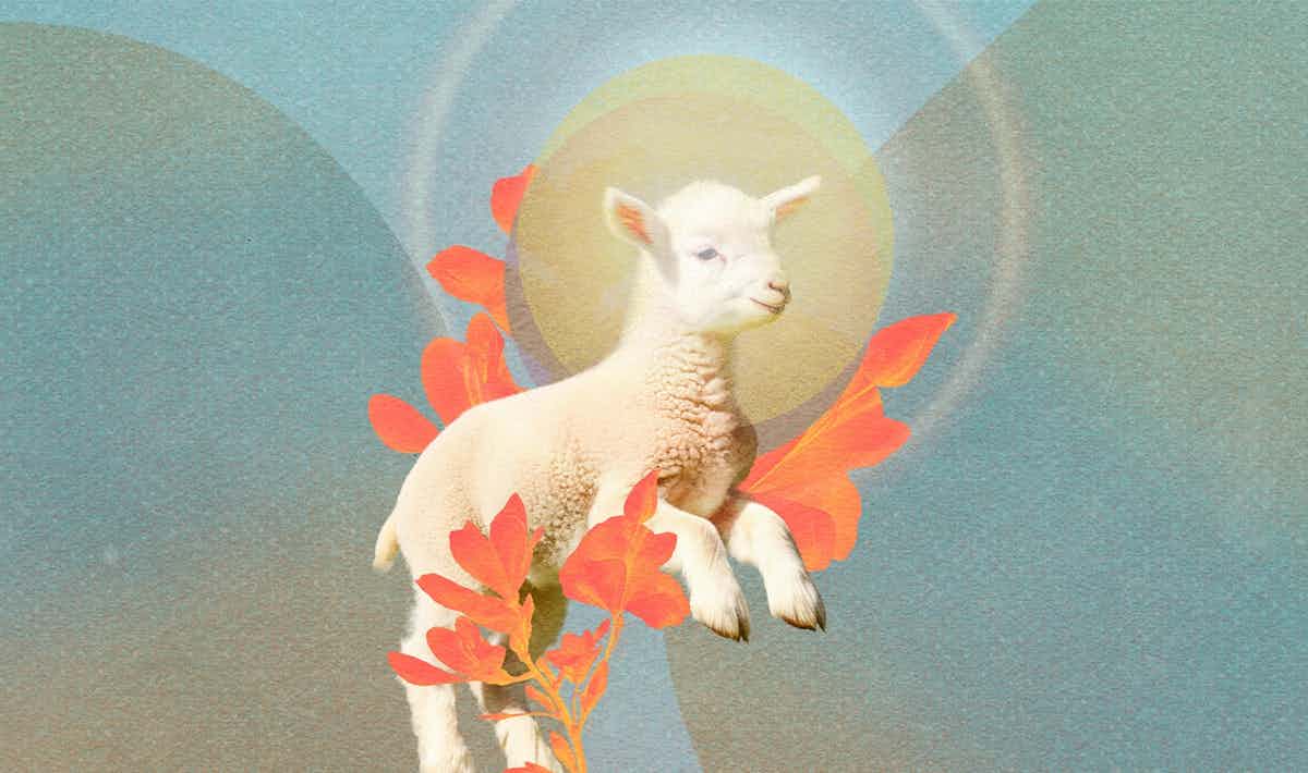 MessieCaprice.jpg Ensemble Caprice