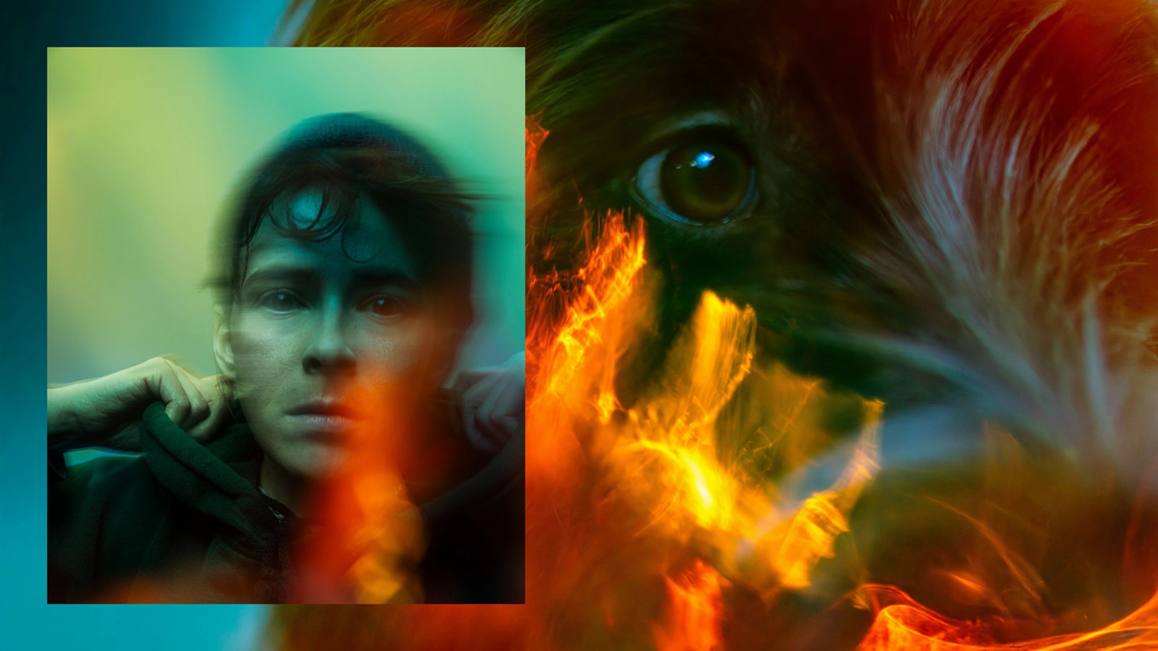 Le bizarre incident du chien pendant la nuit