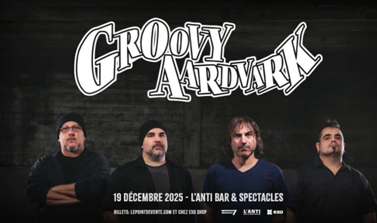 GroovyAardvark.jpg Groovy Aardvark