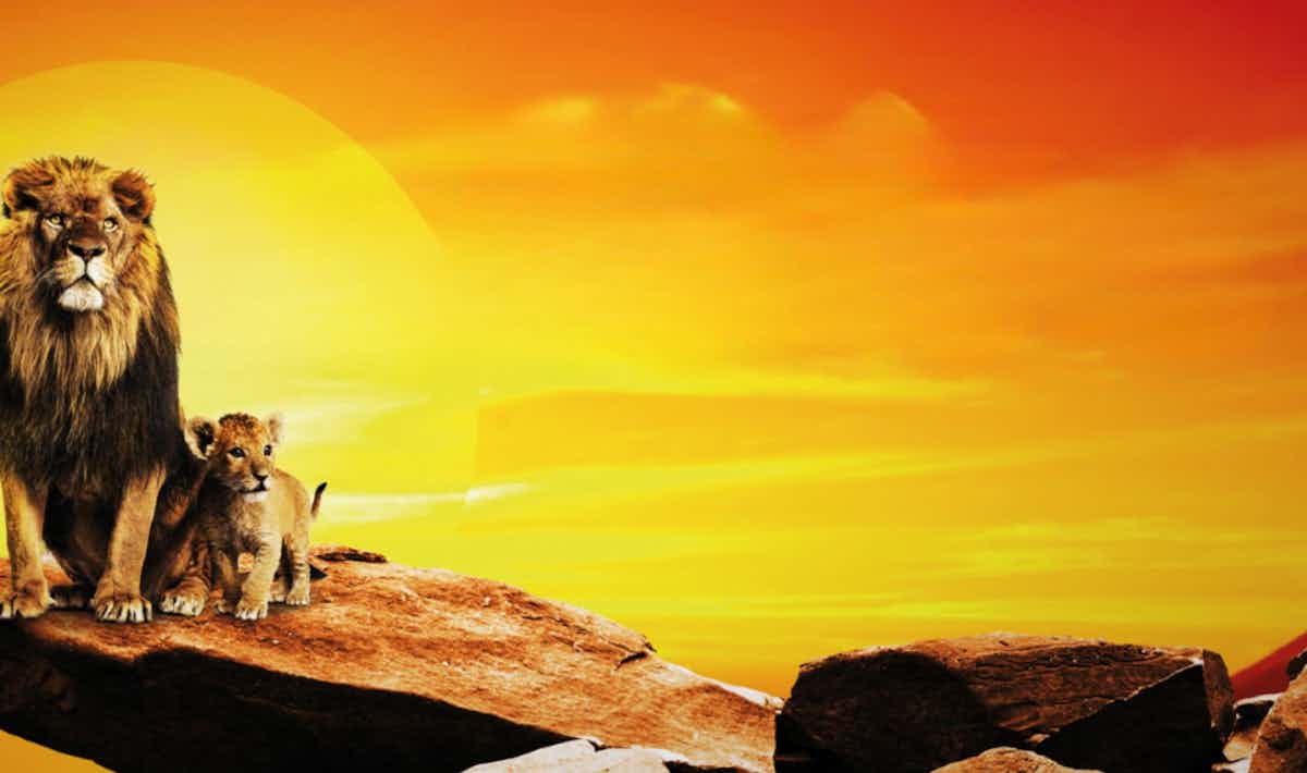 RoiLionEnConcert.jpg Le Roi Lion