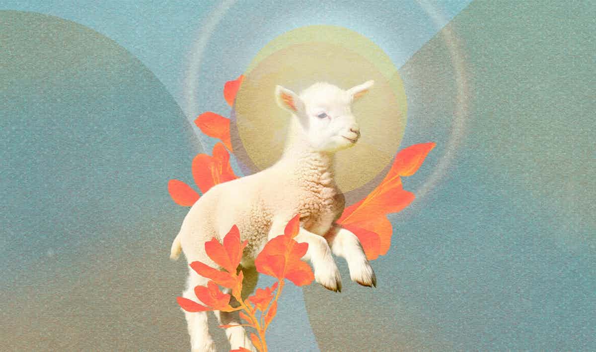 ab32aa66-8c80-53e6-adf3-99af6fde47ca.jpg ab32aa66-8c80-53e6-adf3-99af6fde47ca.jpg