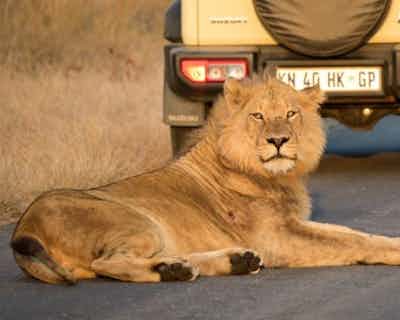 a374dd47-851d-575d-b945-b45402206249.jpg a374dd47-851d-575d-b945-b45402206249.jpg