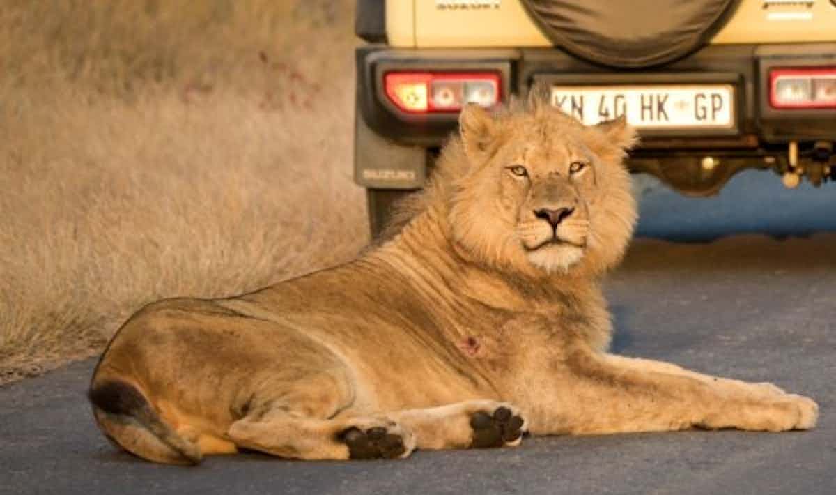 a374dd47-851d-575d-b945-b45402206249.jpg a374dd47-851d-575d-b945-b45402206249.jpg