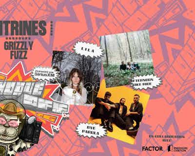 Vitrines17022025.jpg Vitrines : l i l a + Afternoon Bike Ride + Bye Parula