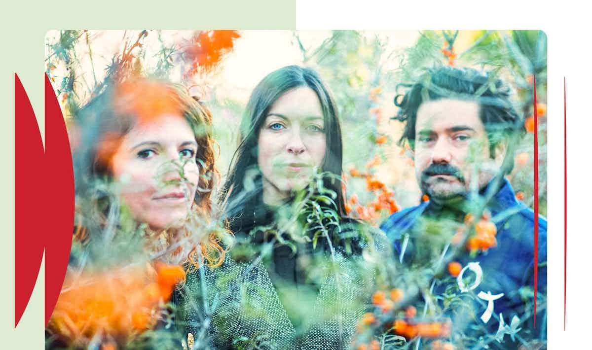 188c61f3-96de-554a-a7ac-8d12fcf0c4e6.jpg 188c61f3-96de-554a-a7ac-8d12fcf0c4e6.jpg