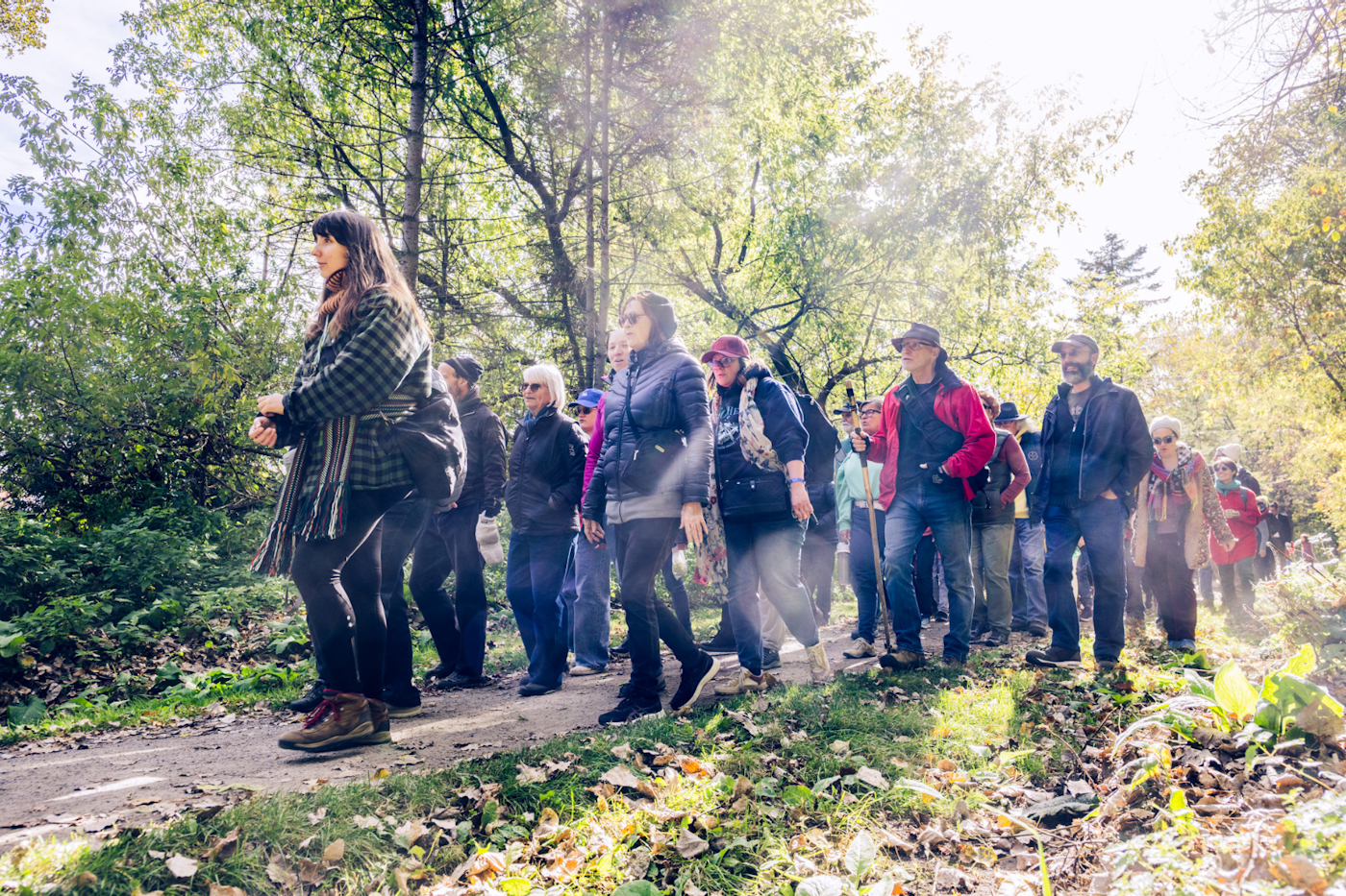 Randonnée chantée, un groupe de personnes marchent en forêt