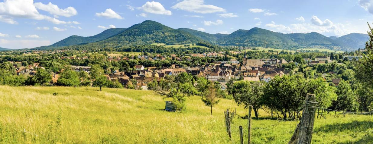 Ribeauvillé