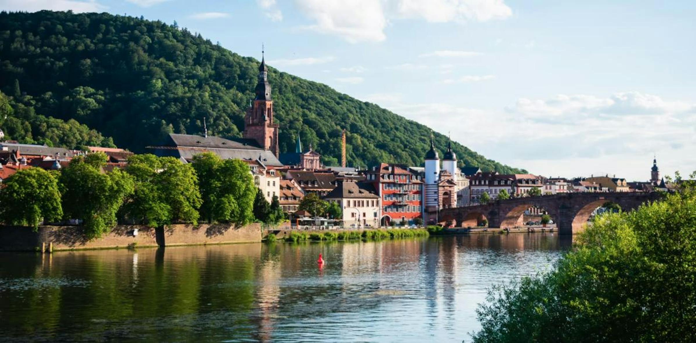 Heidelberg's old town and stone bridge line the Neckar River, backed by a forested hillside.