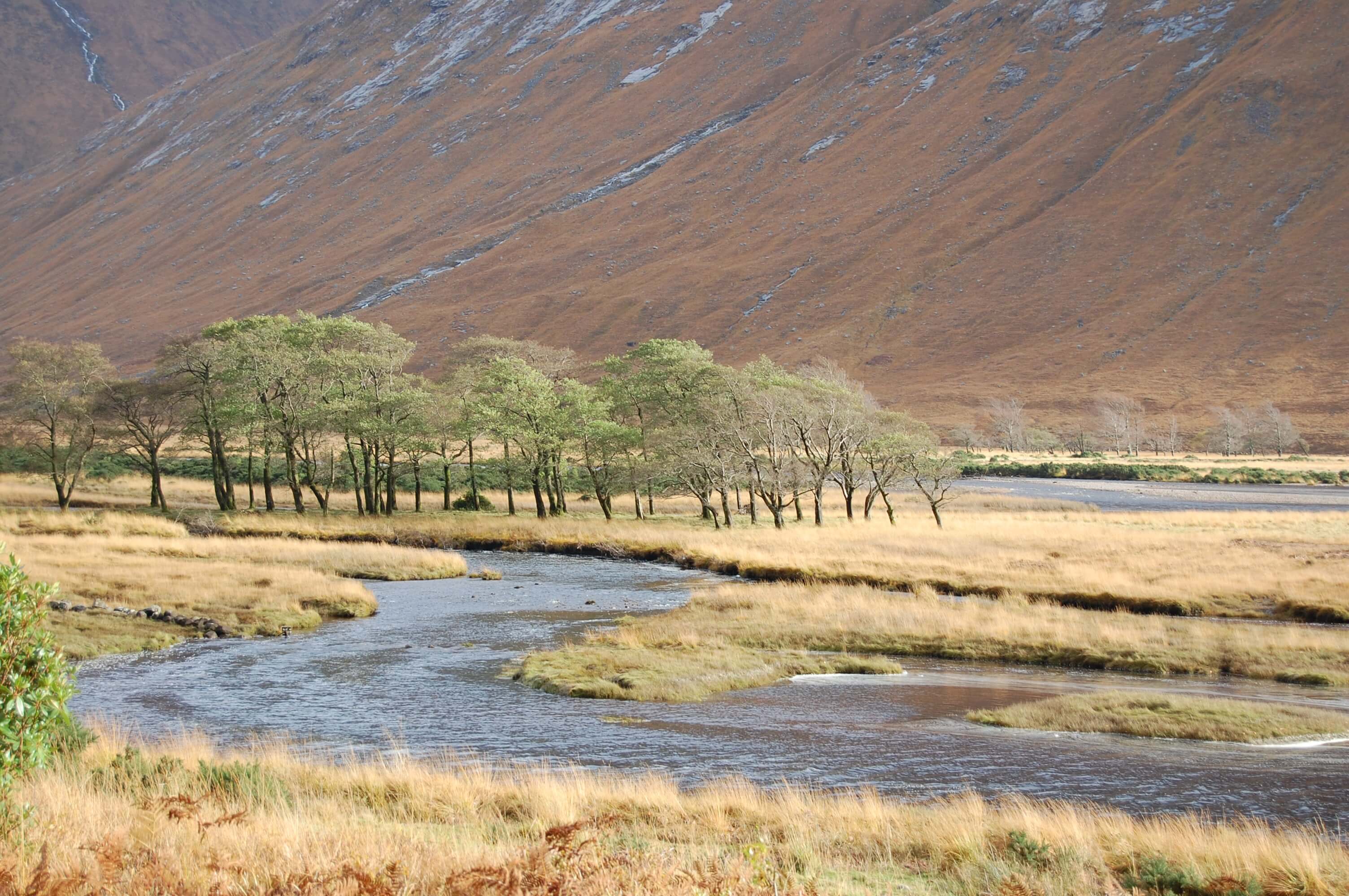 Highlands highlights