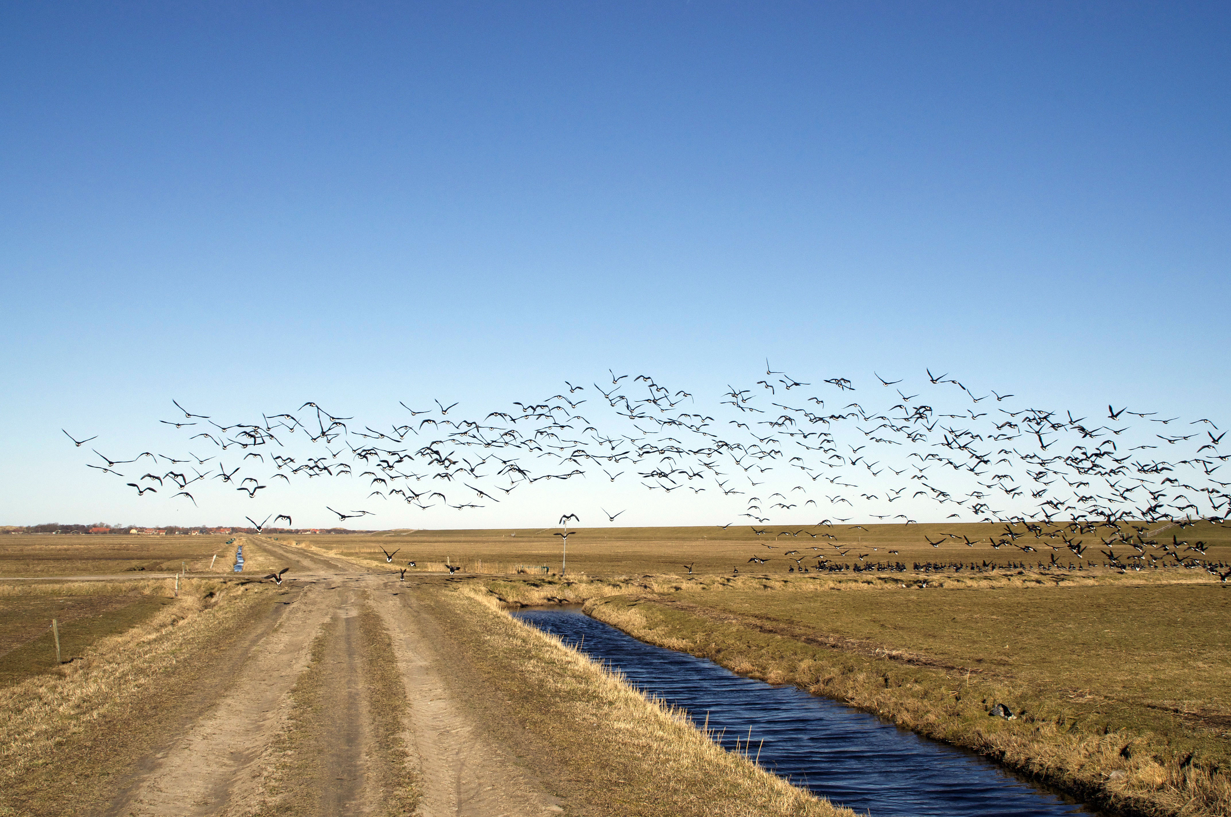 Terschelling