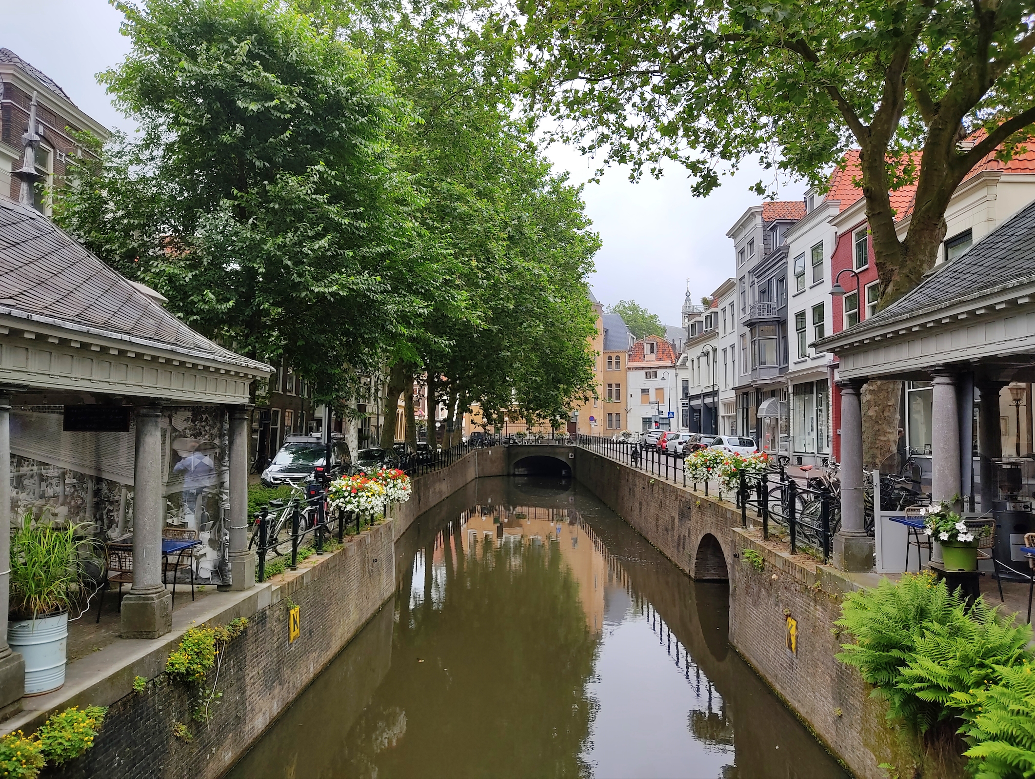 Gouda