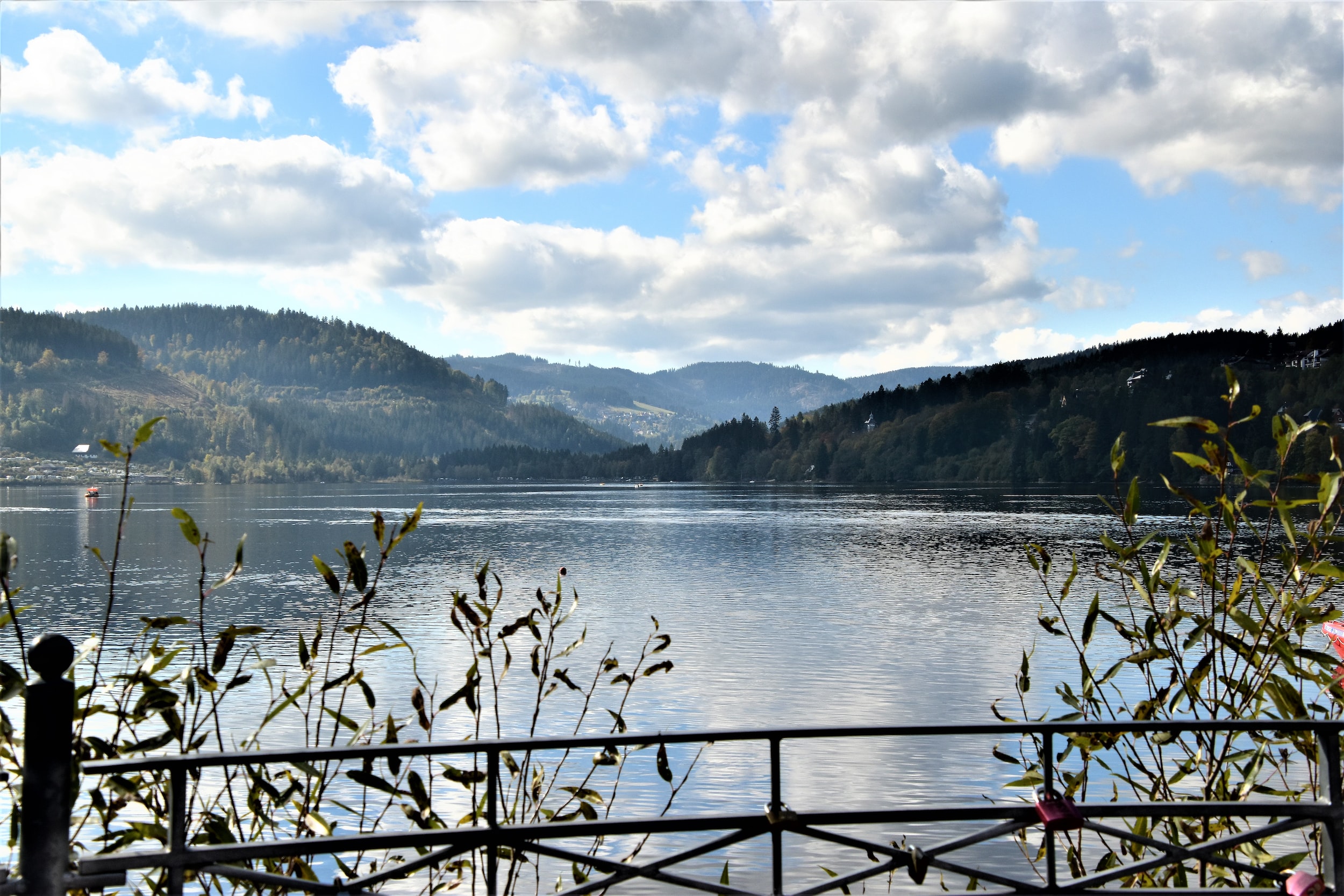 Titisee