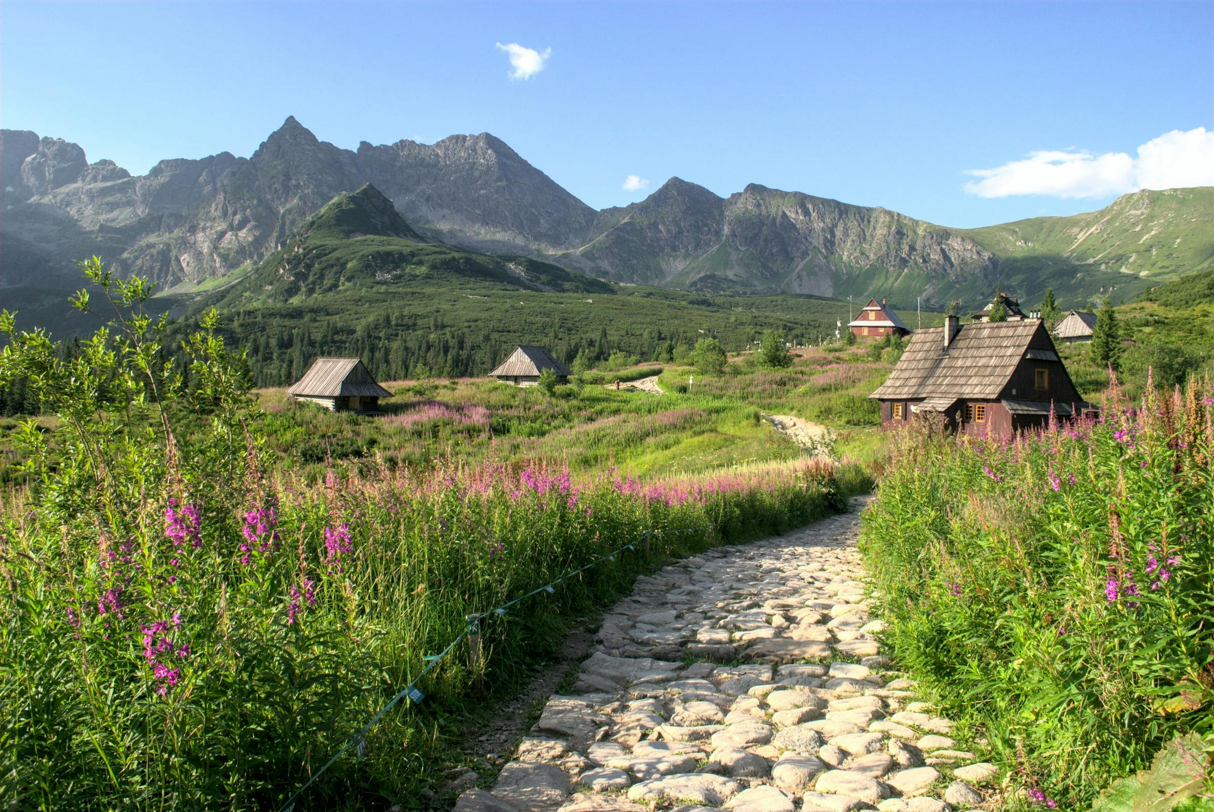 A cobbled path winds past wooden mountain cottages and wildflowers below the Tatra peaks near Zakopane.