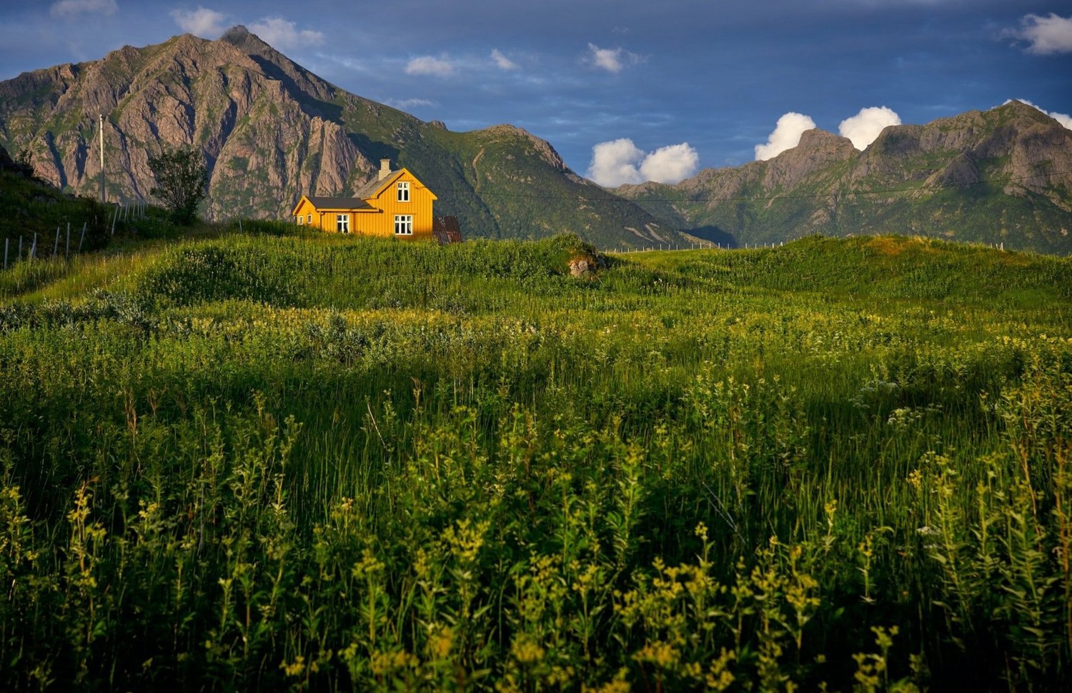 Train Holidays To Norway Byway Travel train-holidays-to-norway-byway-travel