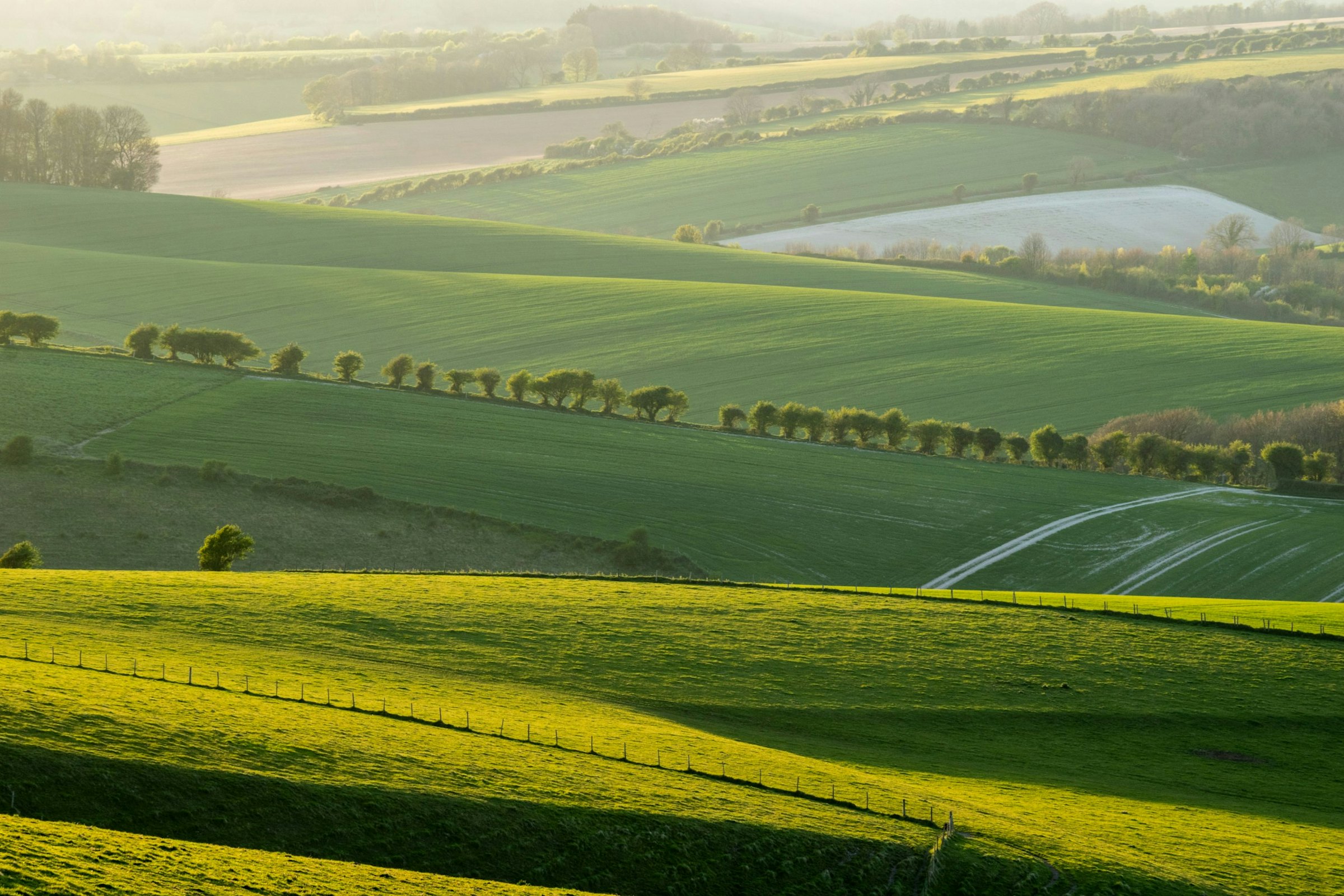 Rolling green hills and hedgerows catch low sunlight across the South Downs countryside.