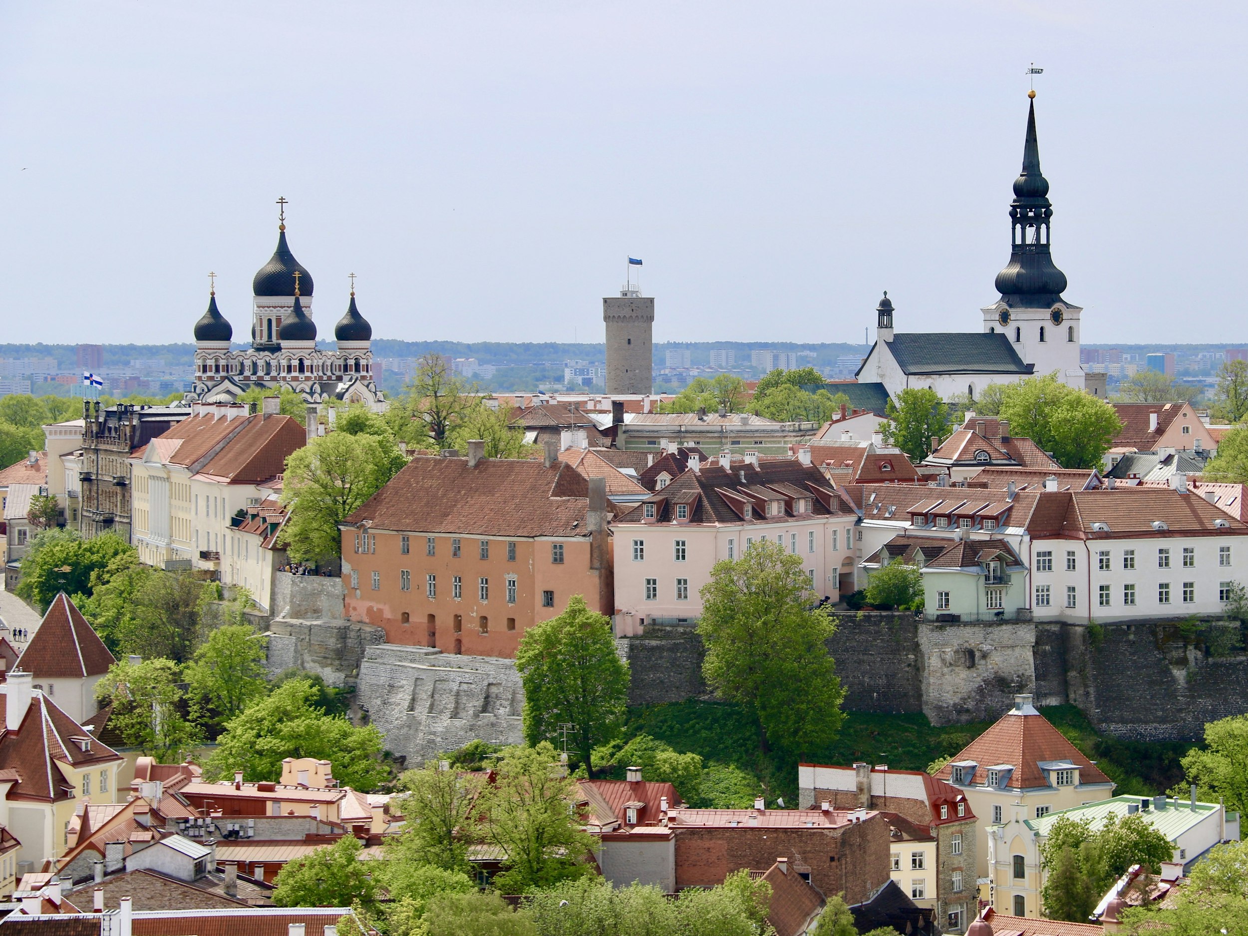 A taste of Estonia