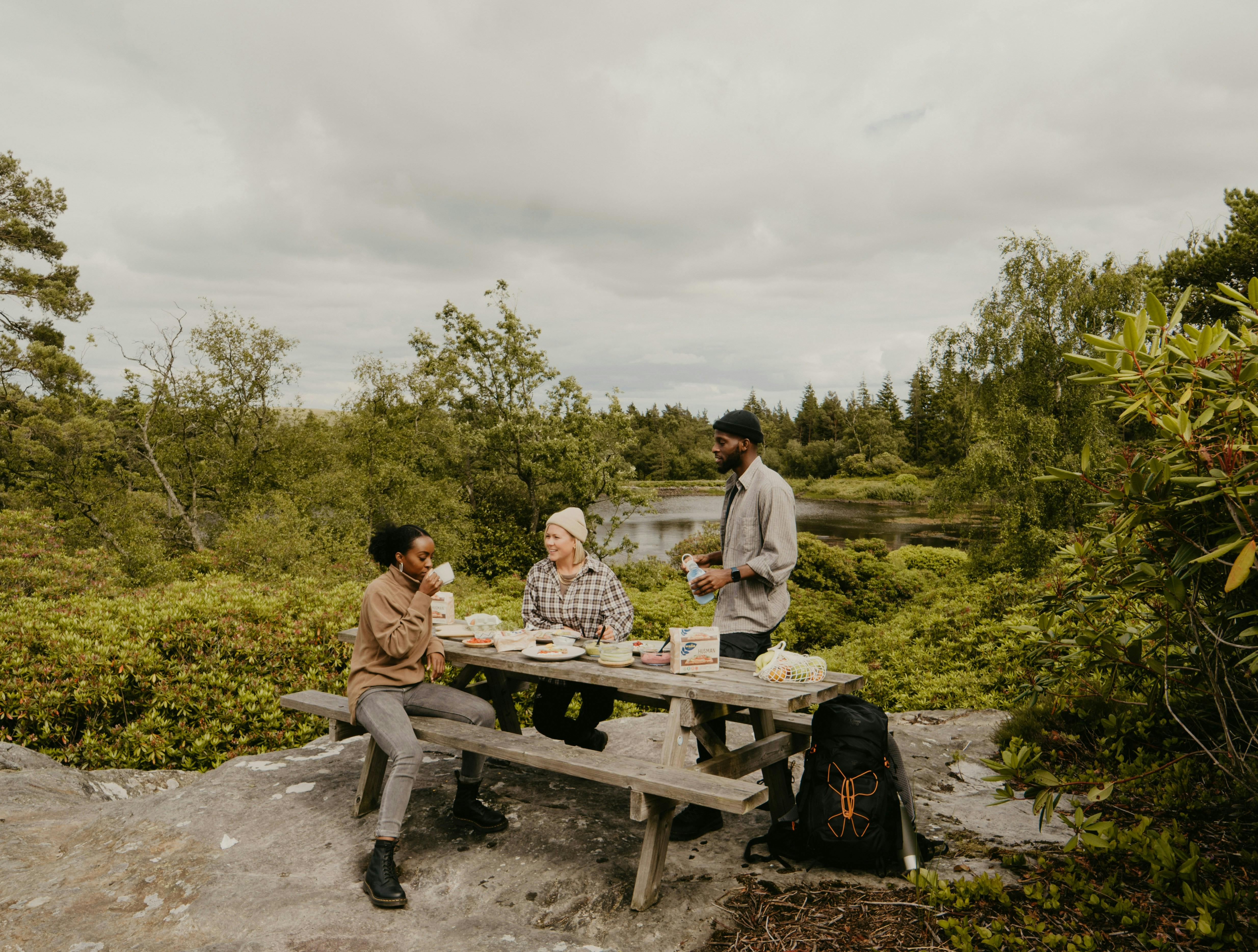 Friends having a picnic