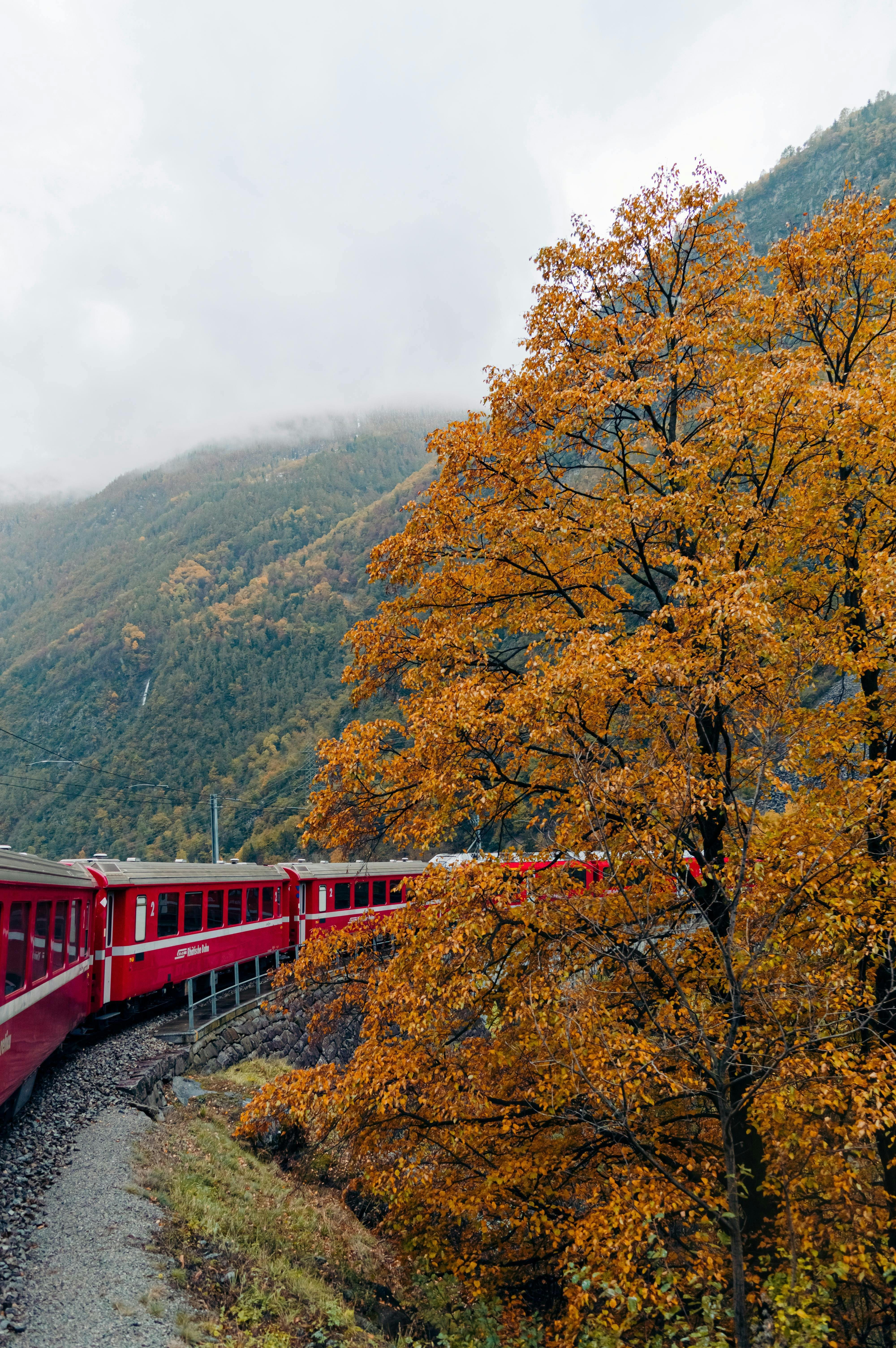 Autumn train