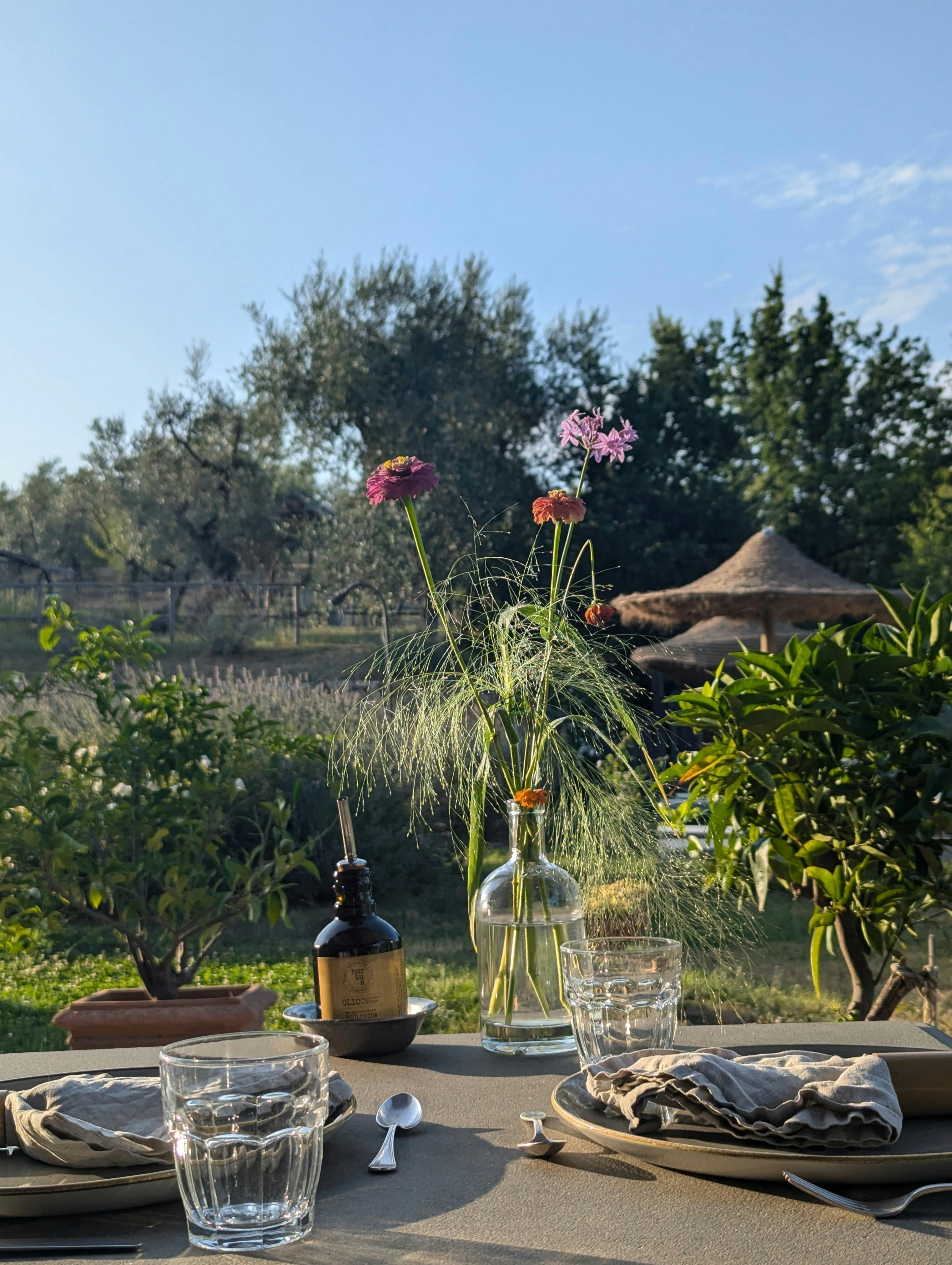 Lunch in the garden