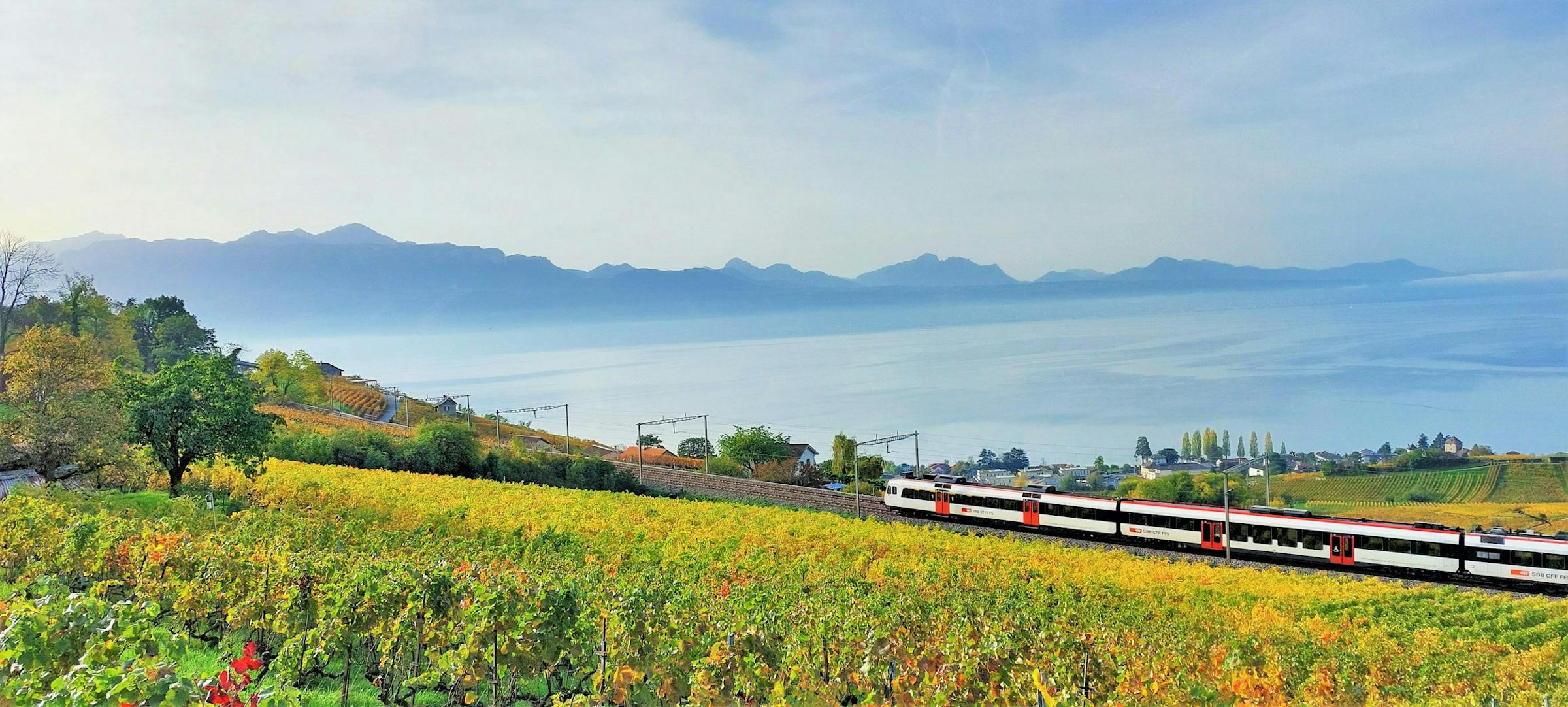 Train travelling through terraced vineyards beside a lake, with mountains in the distance.