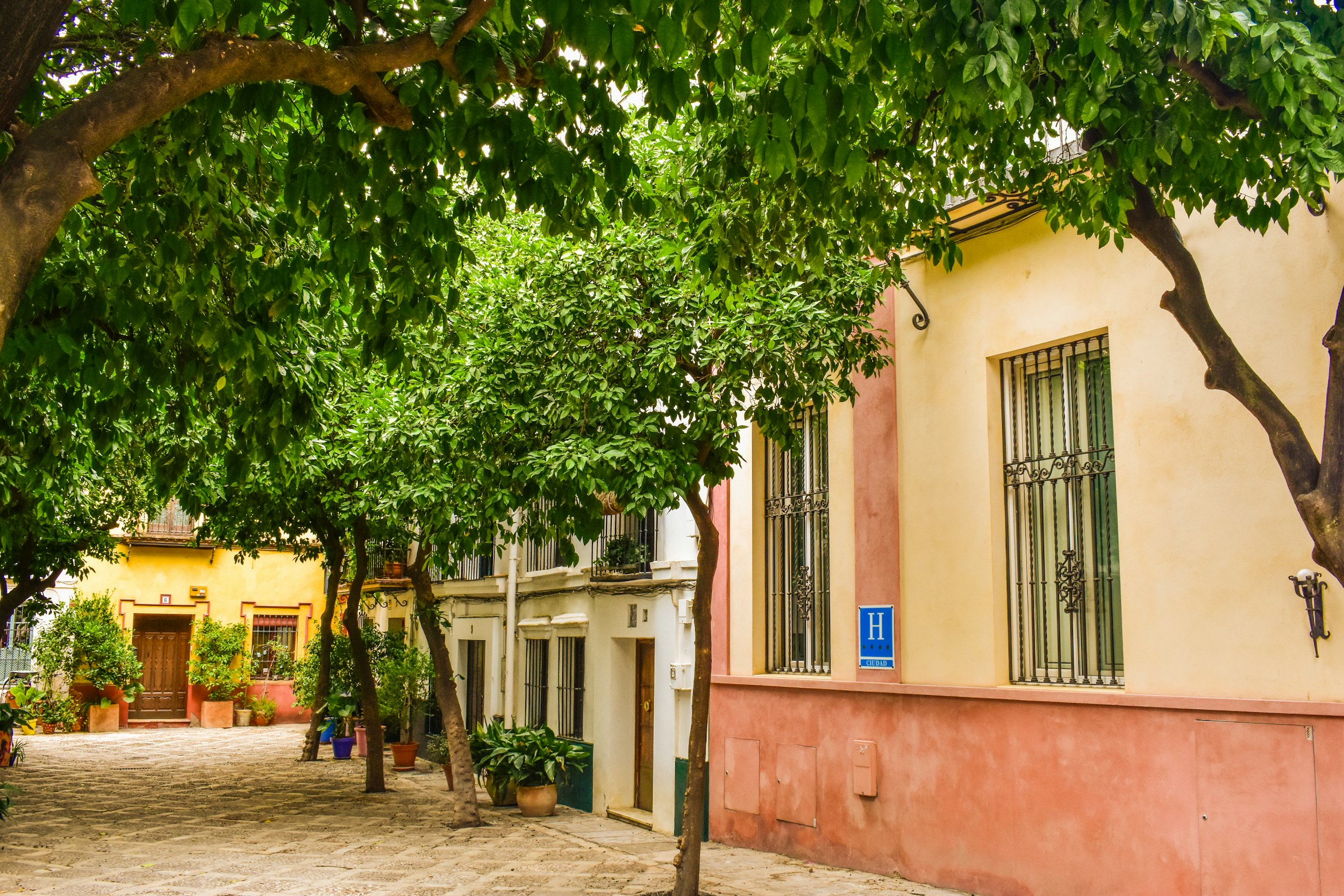 A tree lined street in front of a building