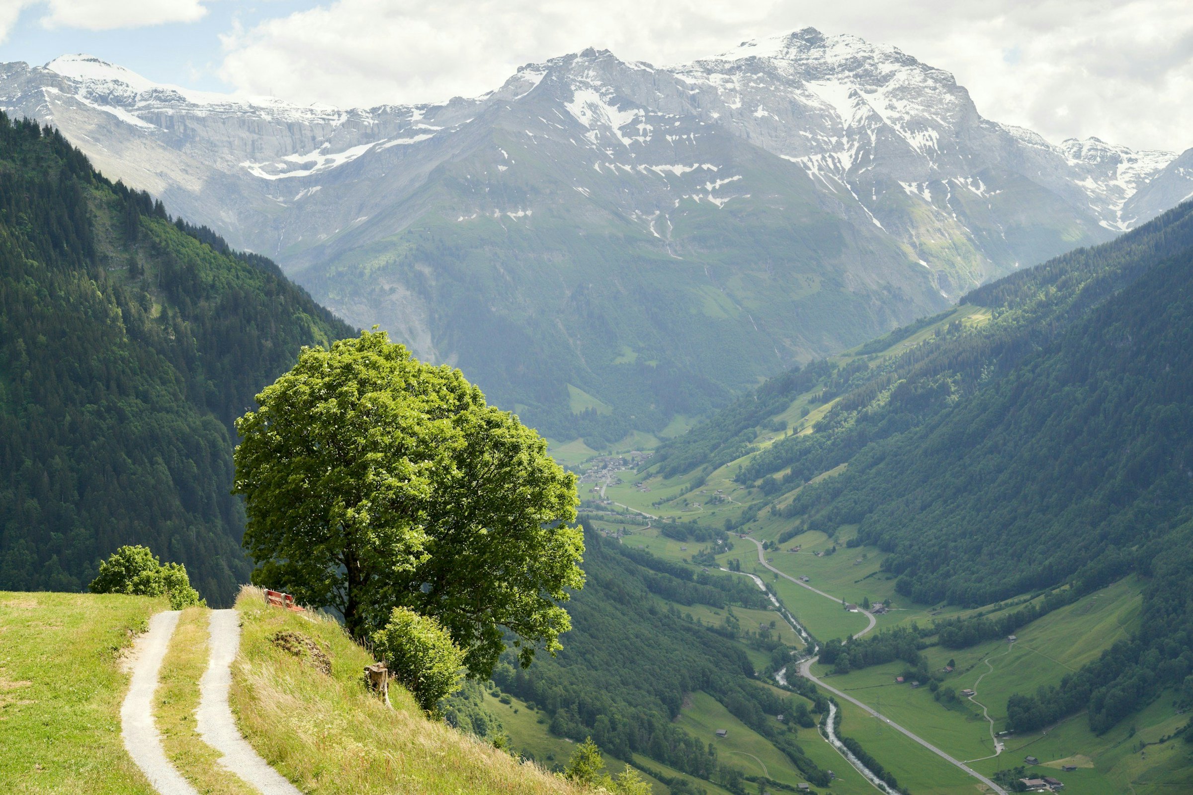A path winds down a green alpine hillside overlooking a valley and snow-capped peaks beyond.