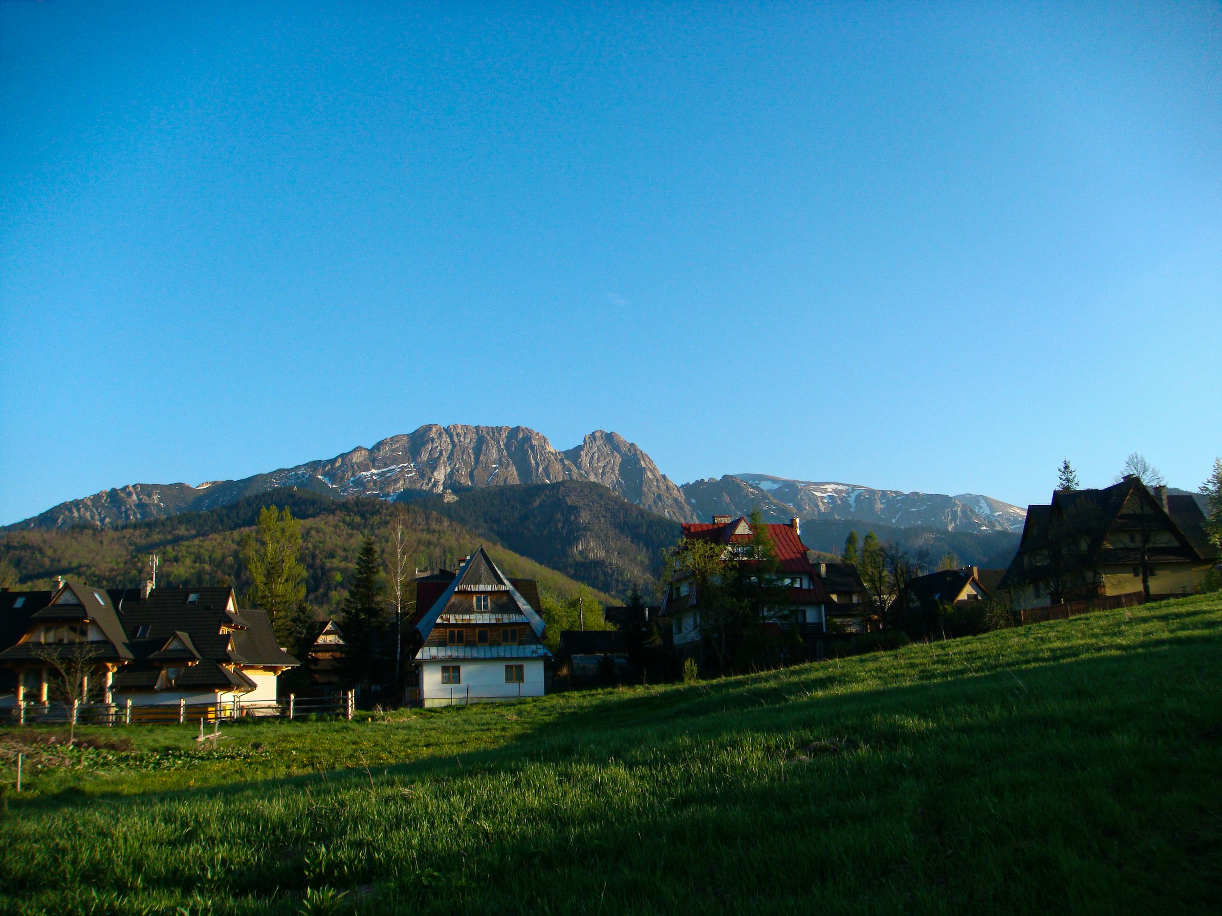 grassland across houses photo during daytime