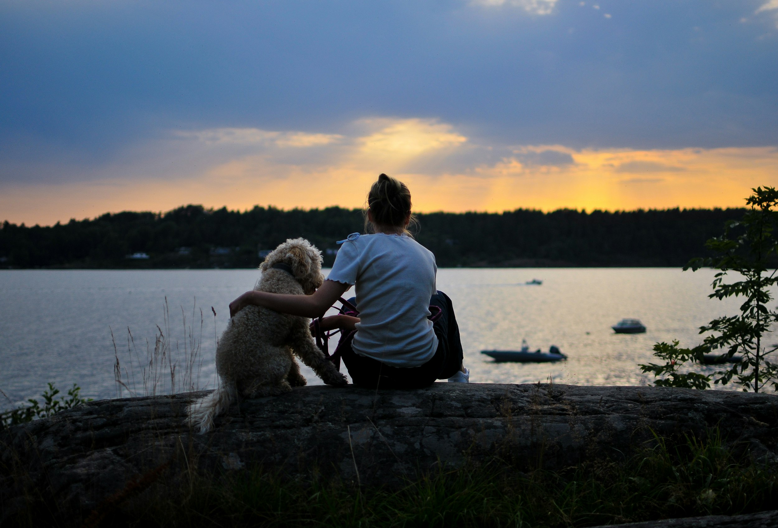 a man sitting on a rock with a teddy bear