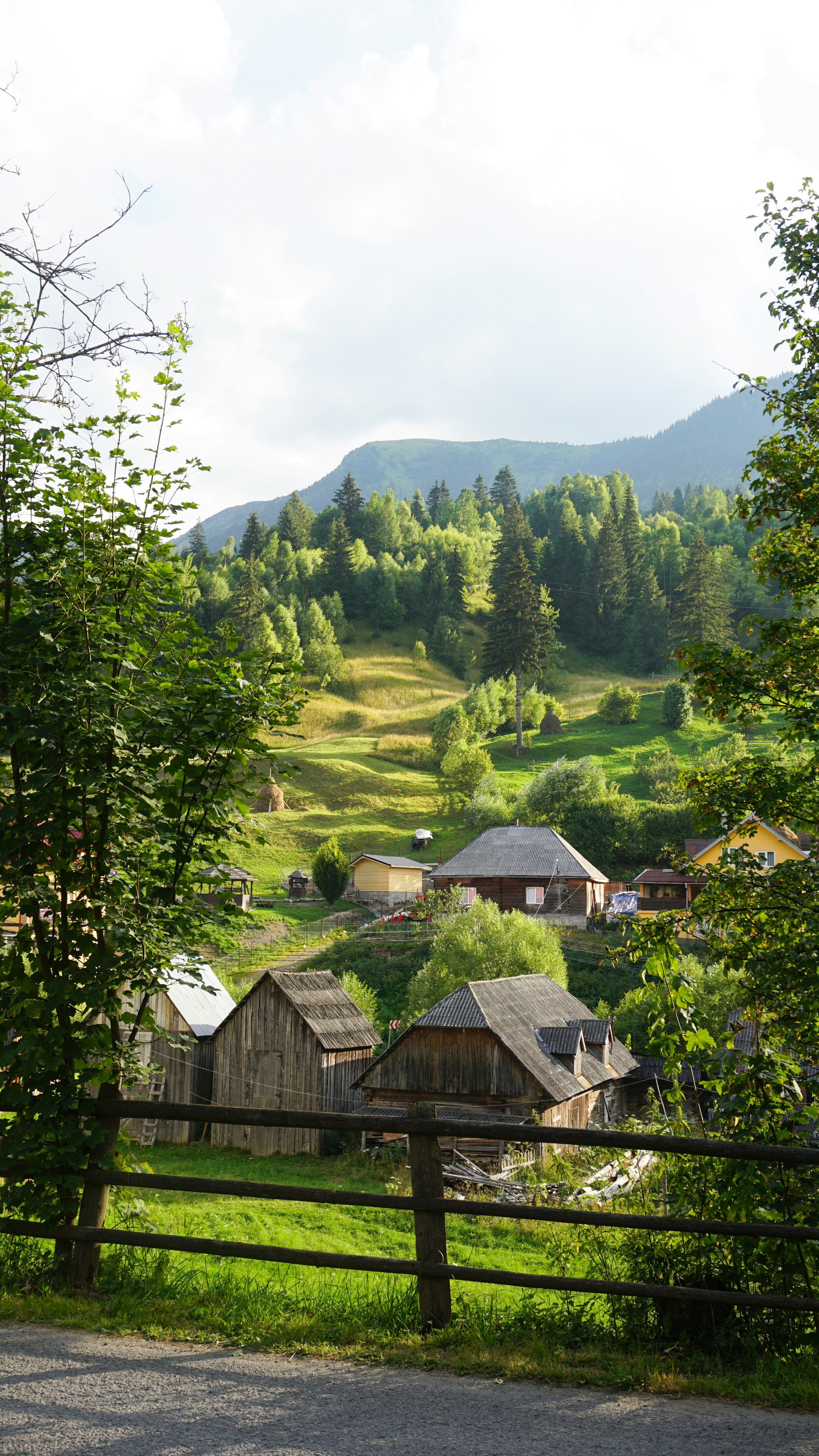 Transylvanian adventure