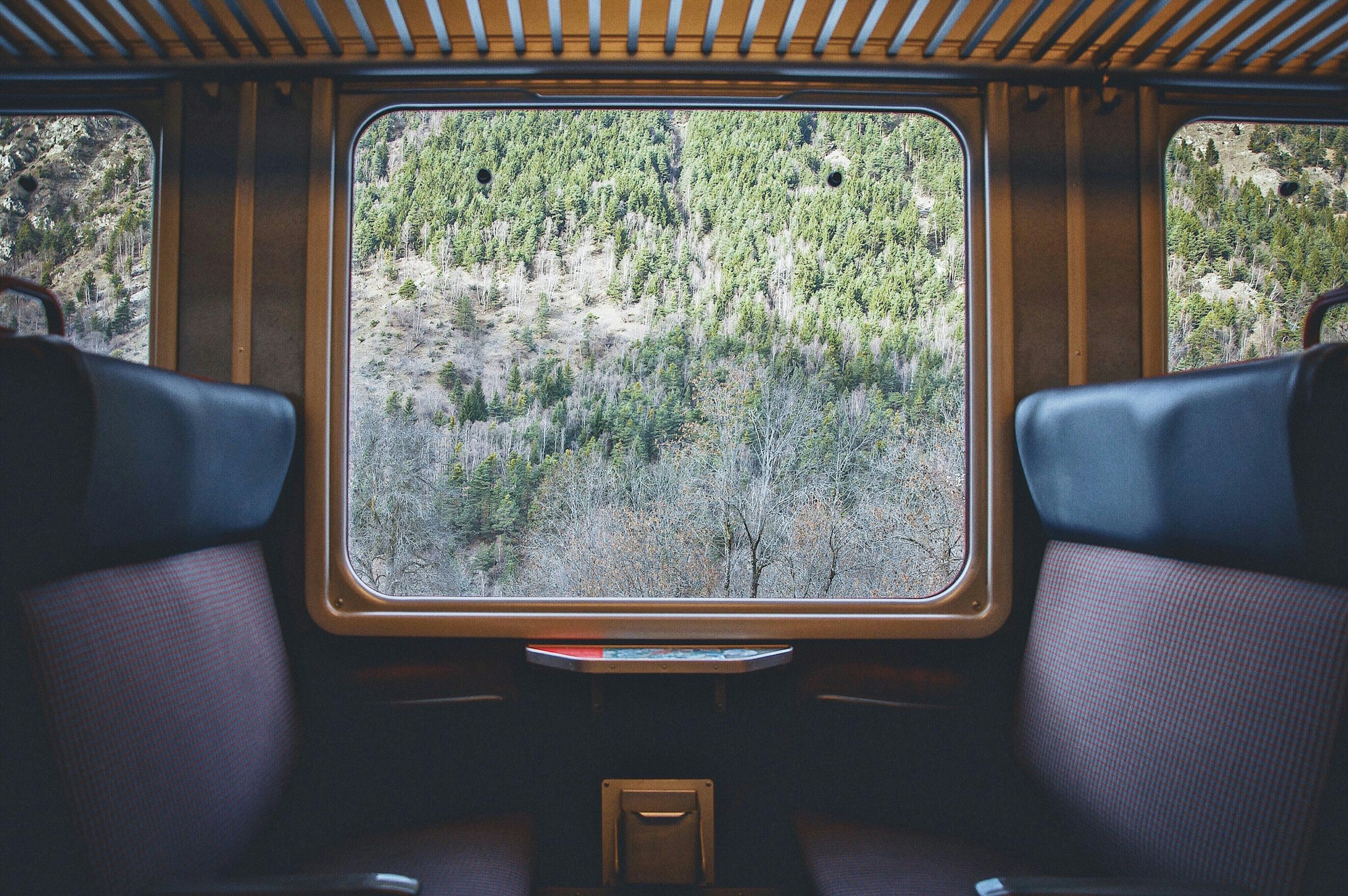 Empty train compartment seats facing a window with a forested mountain slope outside.