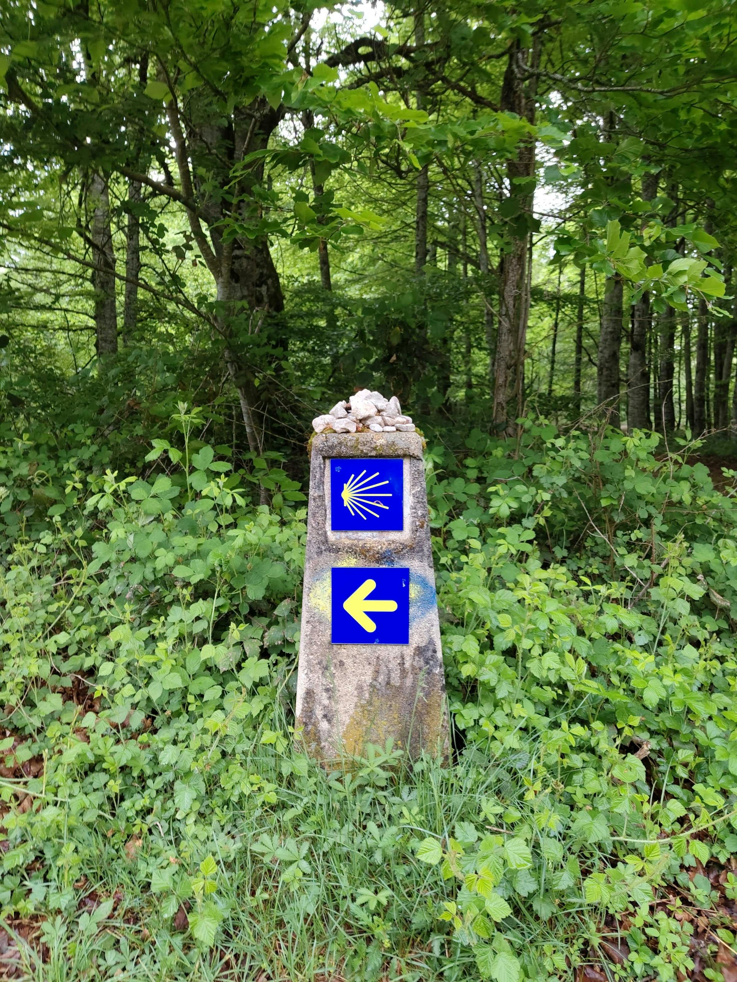 A stone Camino de Santiago waymarker, its scallop shell and yellow arrow pointing through woodland.