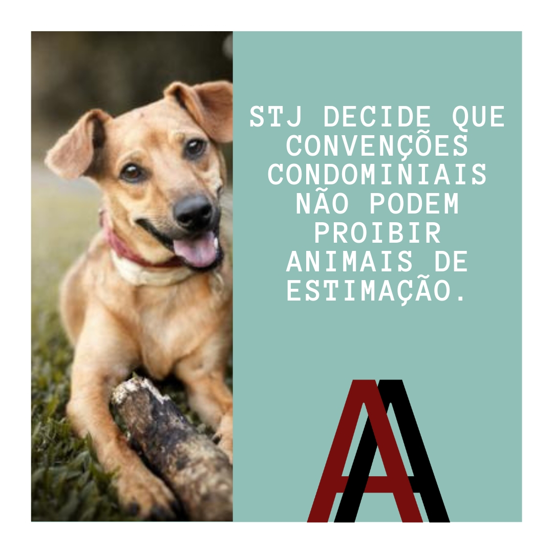 STJ decide que convenções condominiais não podem proibir animais de estimação.
