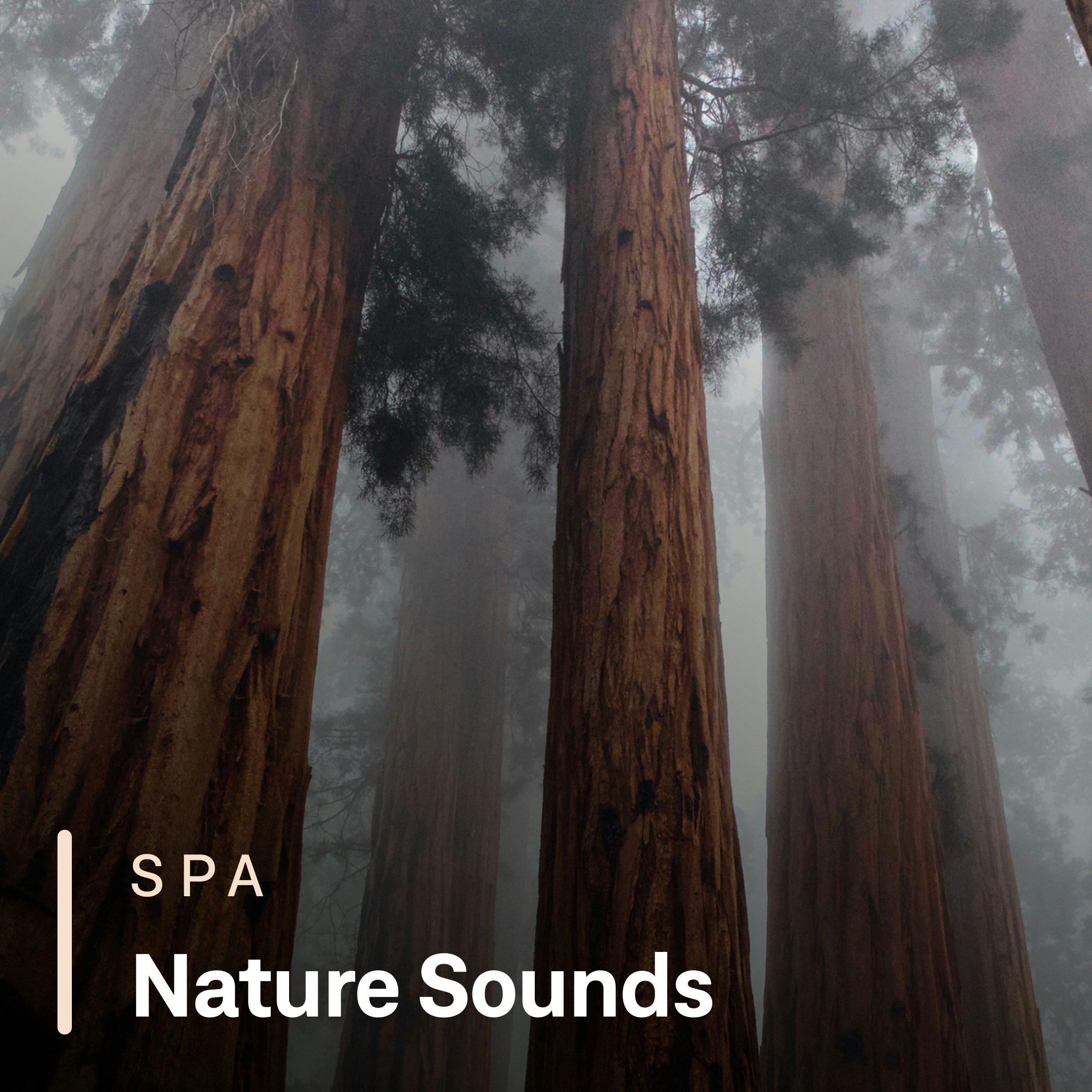 Nature Sounds