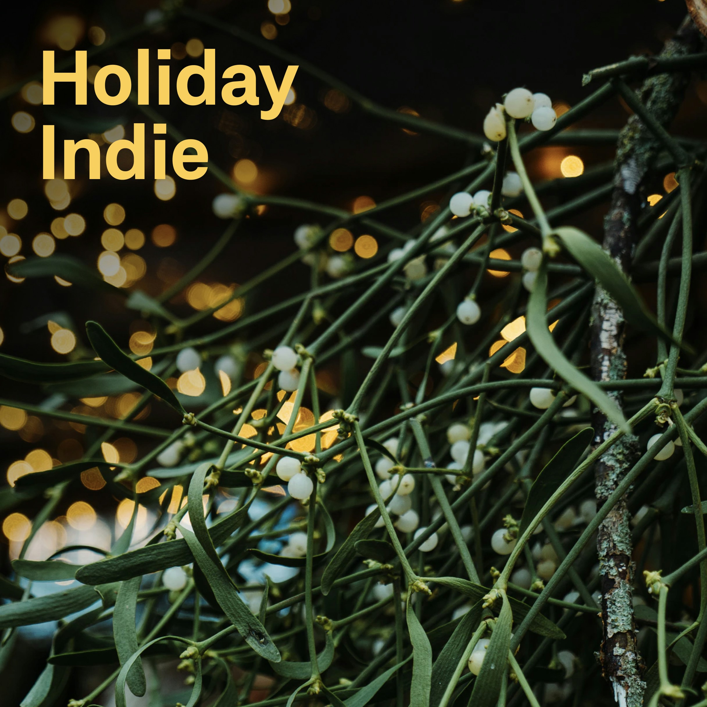 Indie vakantie