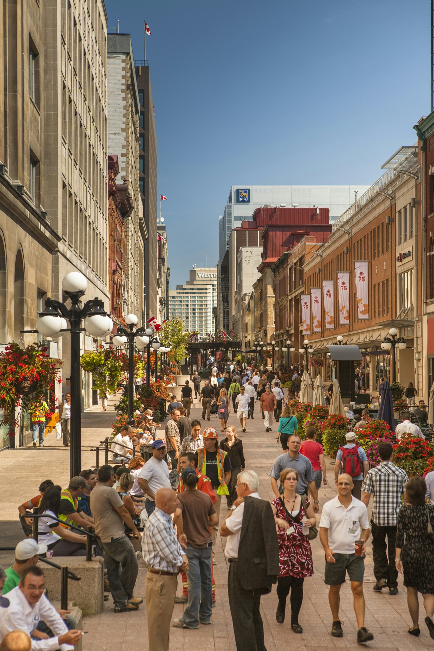 Livlig gata i Ottawa med olika företag