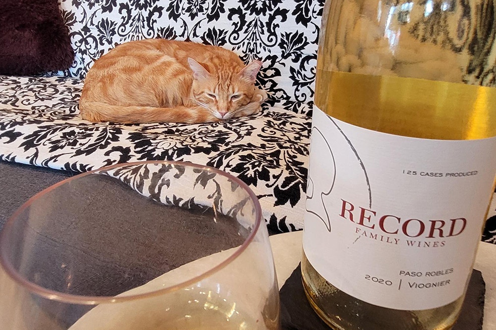 A cozy scene featuring a glass of white wine, a bottle of Record Family Wines Viognier 2020, and an orange tabby cat resting on a black-and-white patterned couch in the background.