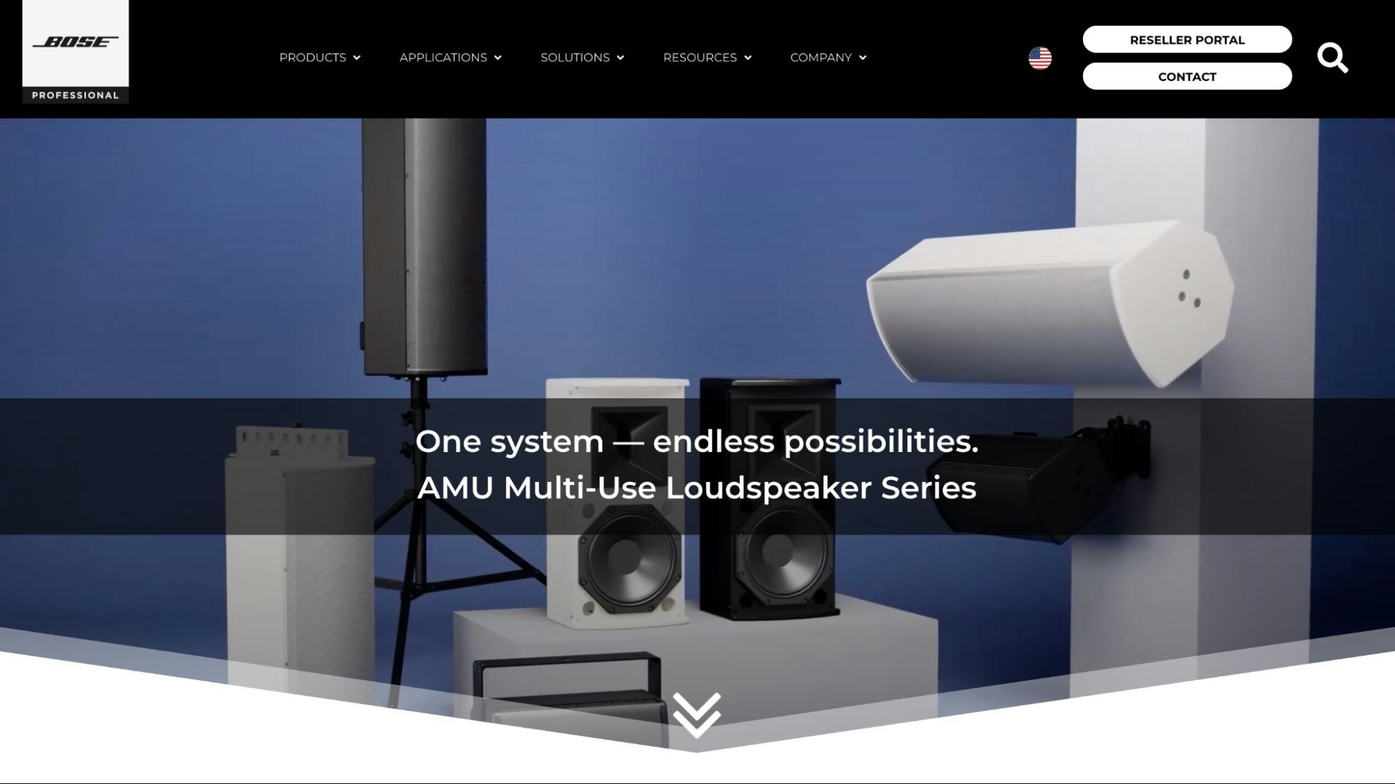 Bose Professional