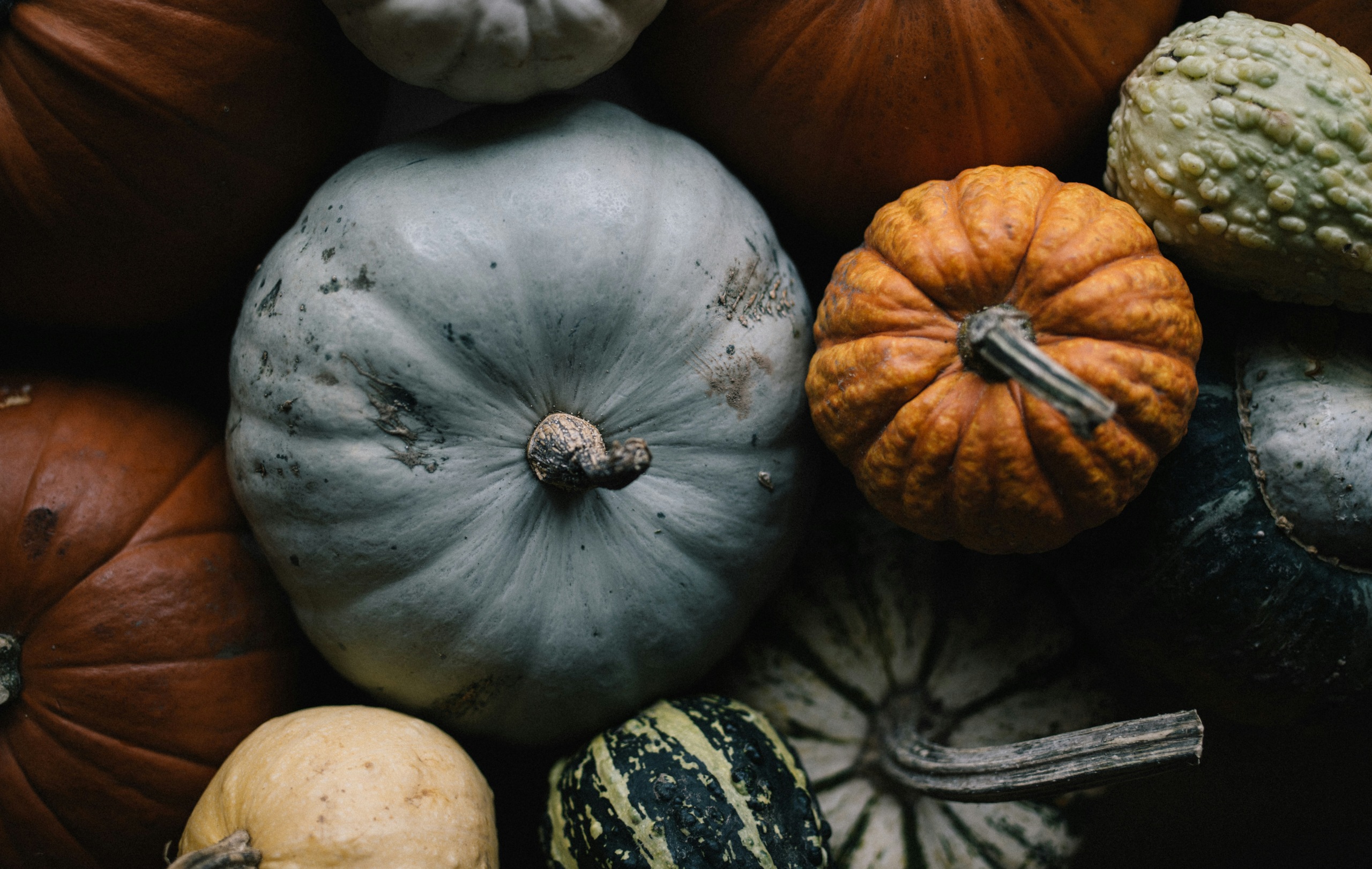 Halloween marketing ideas