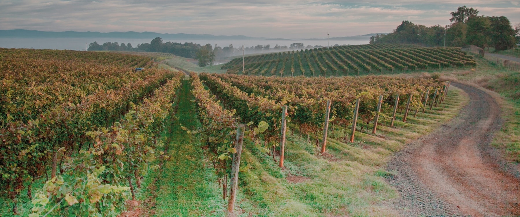 21 Invest to acquire Casa Vinicola Zonin