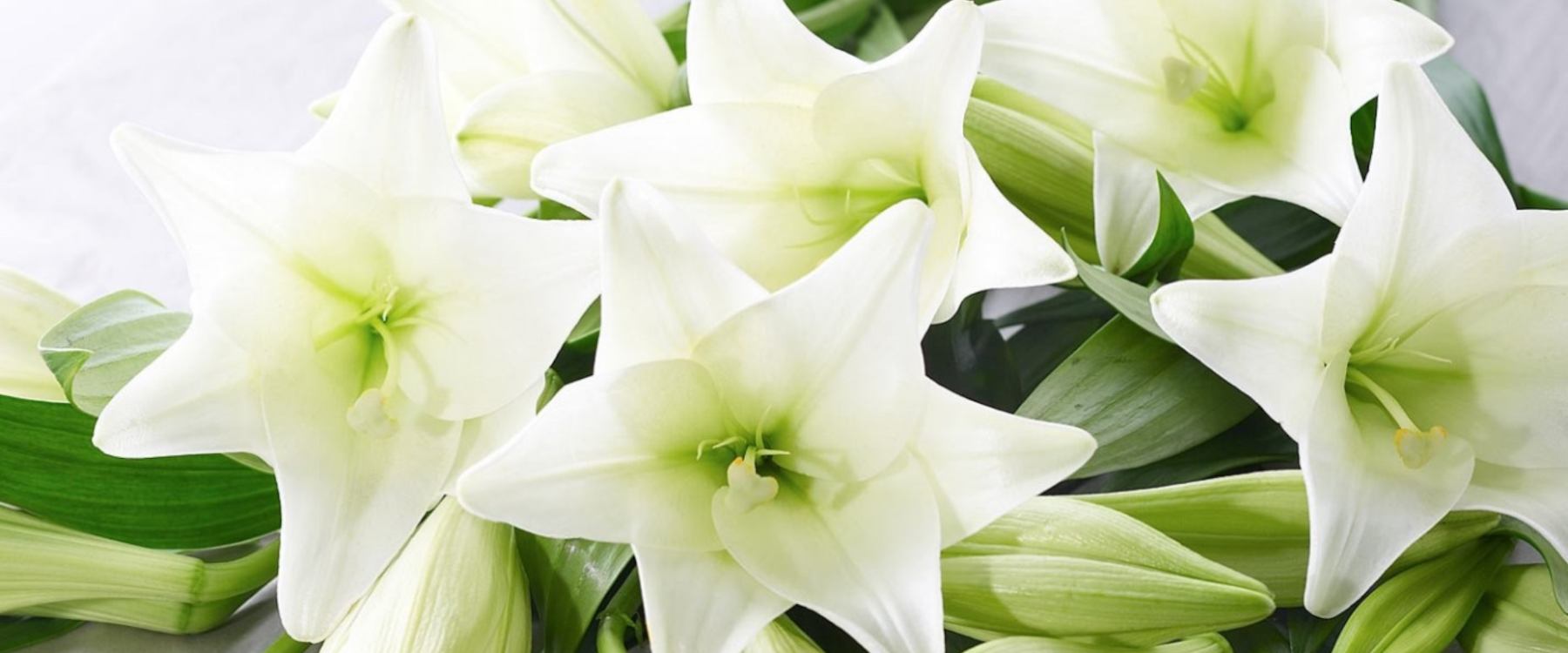 21 Invest to exit Interflora