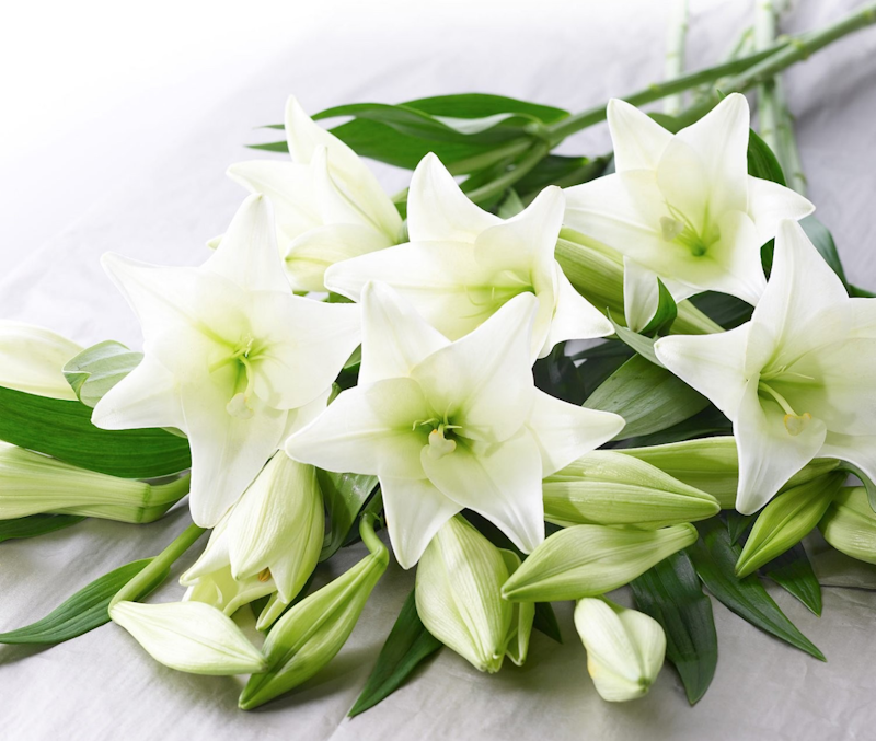 Interflora