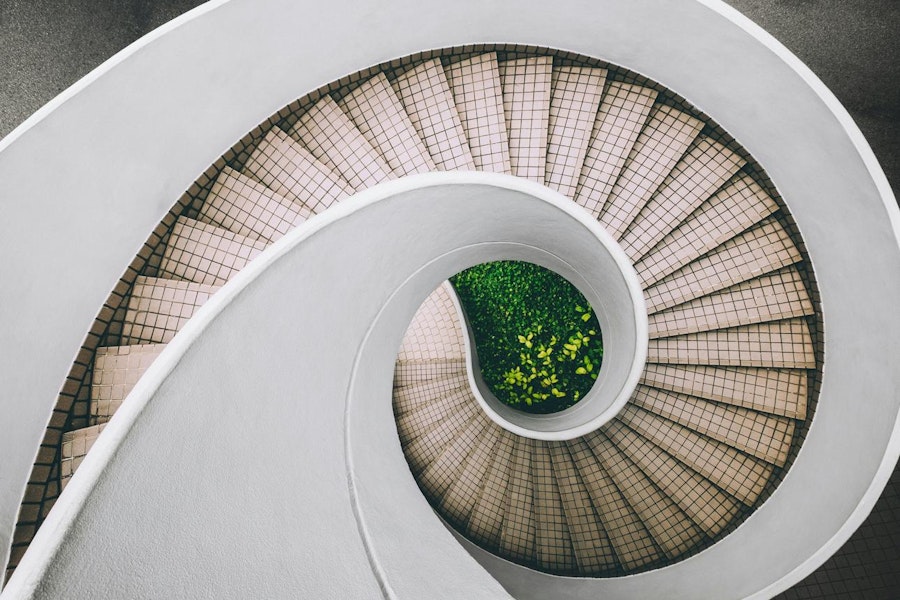 Drive purposeful growth