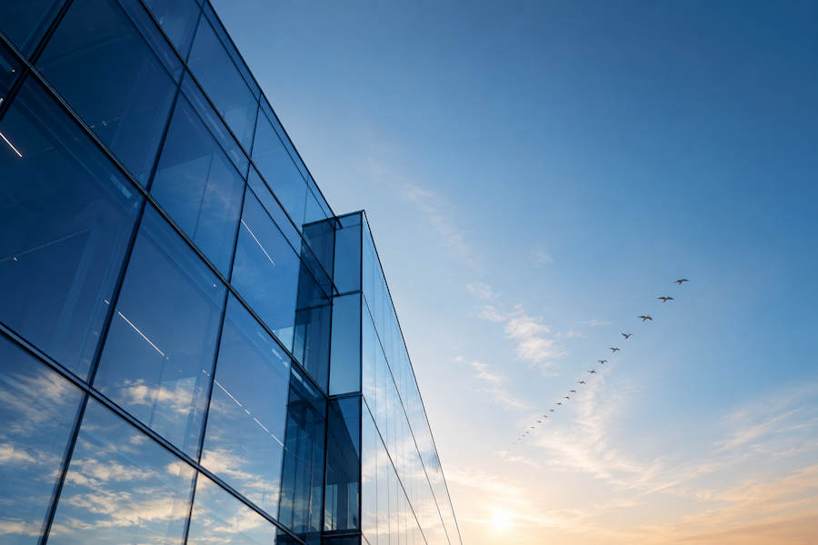 Accelerating external growth