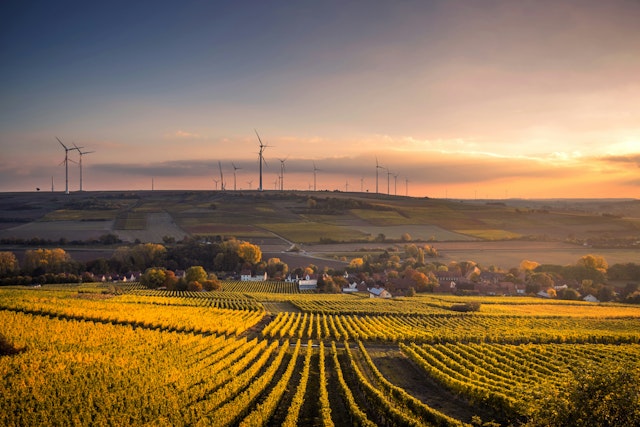 21 Invest to acquire Kali Environnement
