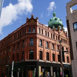 Dublinia
